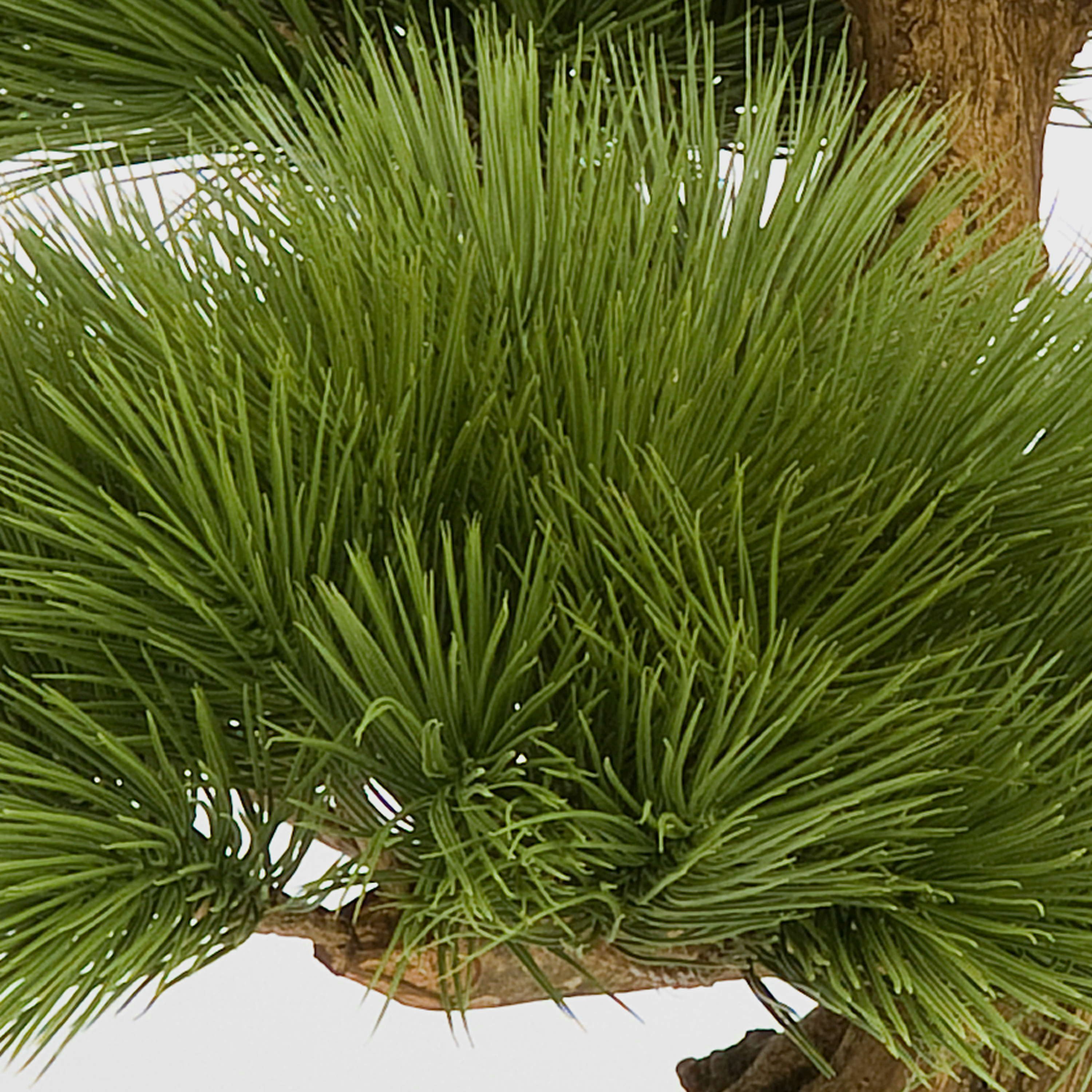 Kunstbonsai Künstlicher Bonsai Pinie in Bonsaischale, 125 Nadelzweige, 70cm Pinie, artplants, Höhe 70.0 cm