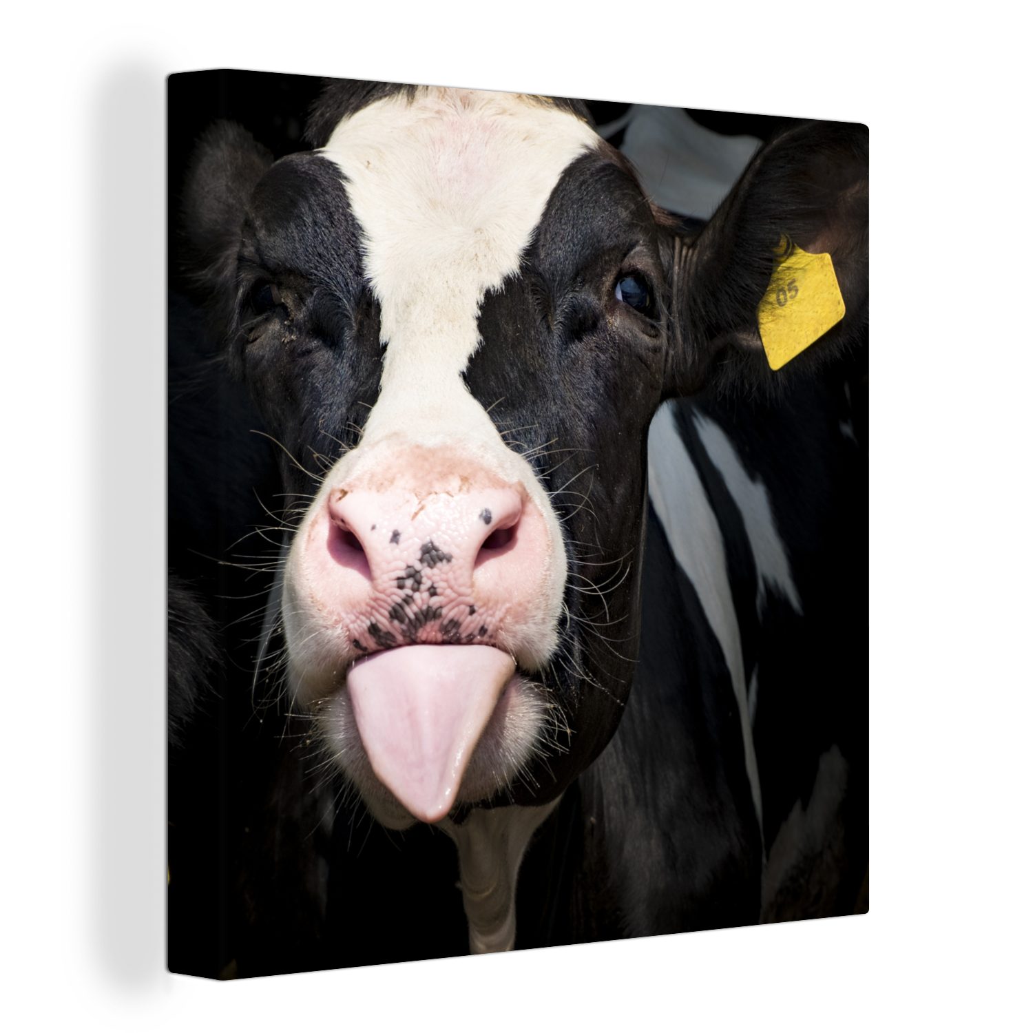 OneMillionCanvasses® Leinwandbild Kuh - Kalb - Zunge, (1 St), Leinwand Bilder für Wohnzimmer Schlafzimmer bunt