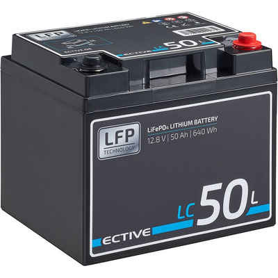 ECTIVE ECTIVE 12V 50Ah Lithium Batterie LiFePO4 für Wohnmobil Batterie, (12 V V)