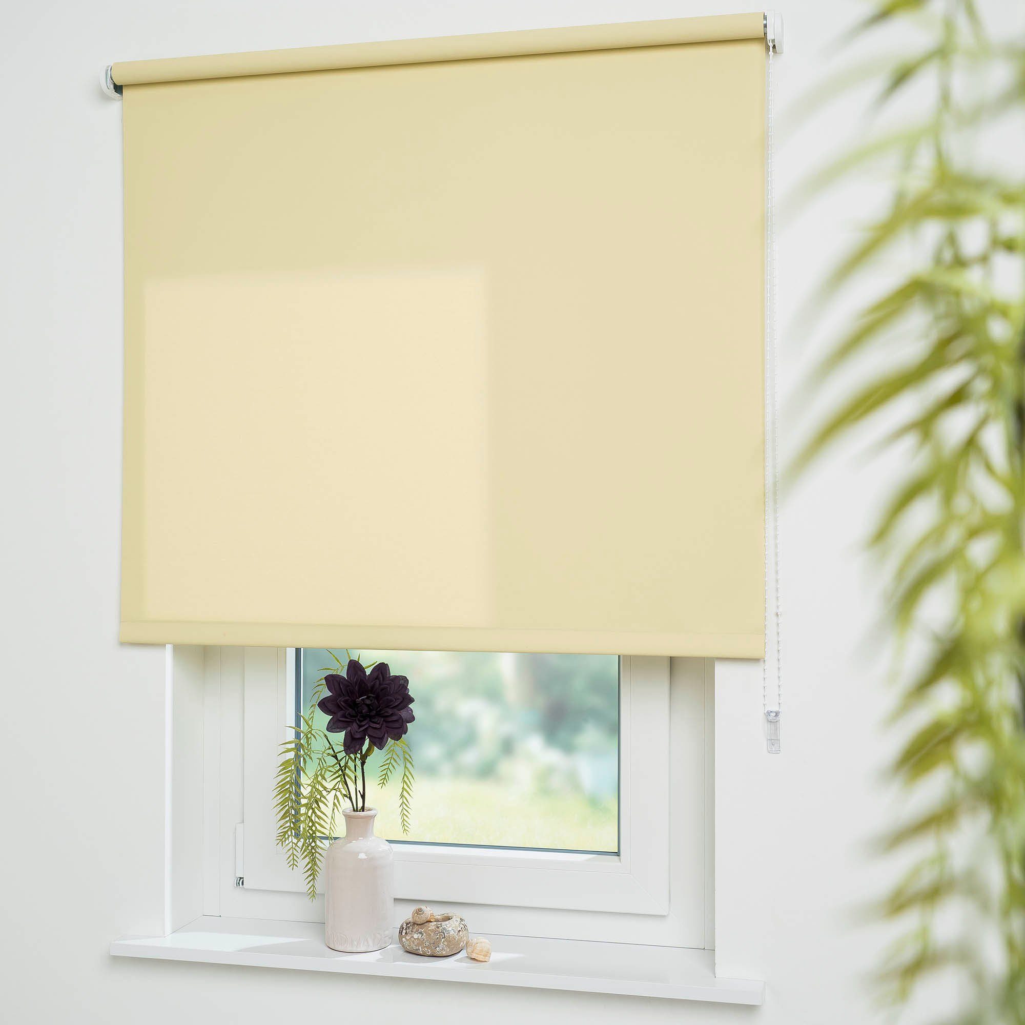 Seitenzugrollo Uni, Liedeco, Lichtschutz, mit Bohren, günstig online kaufen