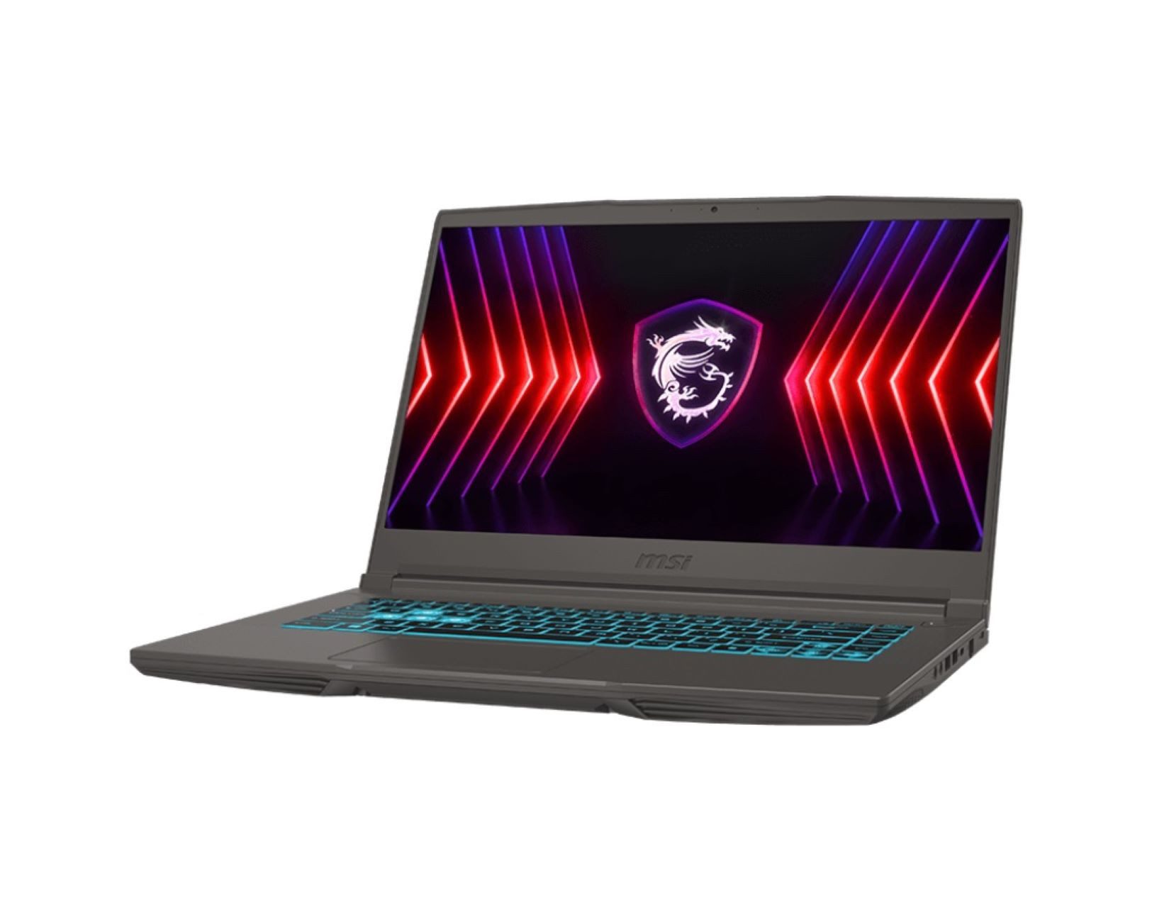Thin 15 B13VF-2895 Gaming-Notebook