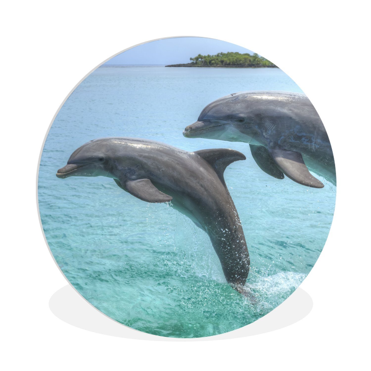 MuchoWow Gemälde Delfine vor den Bay Islands, (1 St), Kreis Wanddekoration Forex, Rundes Wandbild, Wohnzimmer, 30x30 cm
