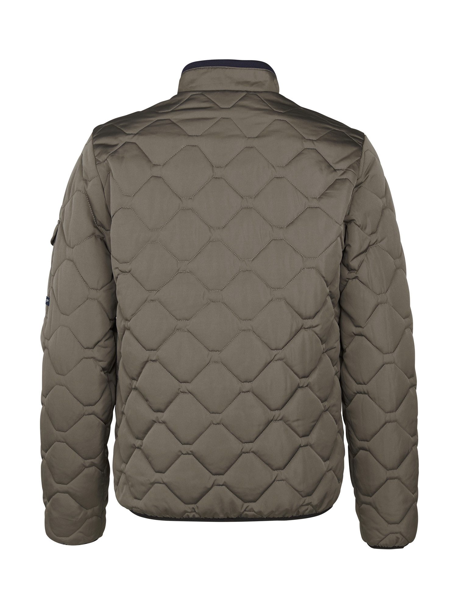 Petrol Industries Steppjacke Steppjacke günstig online kaufen