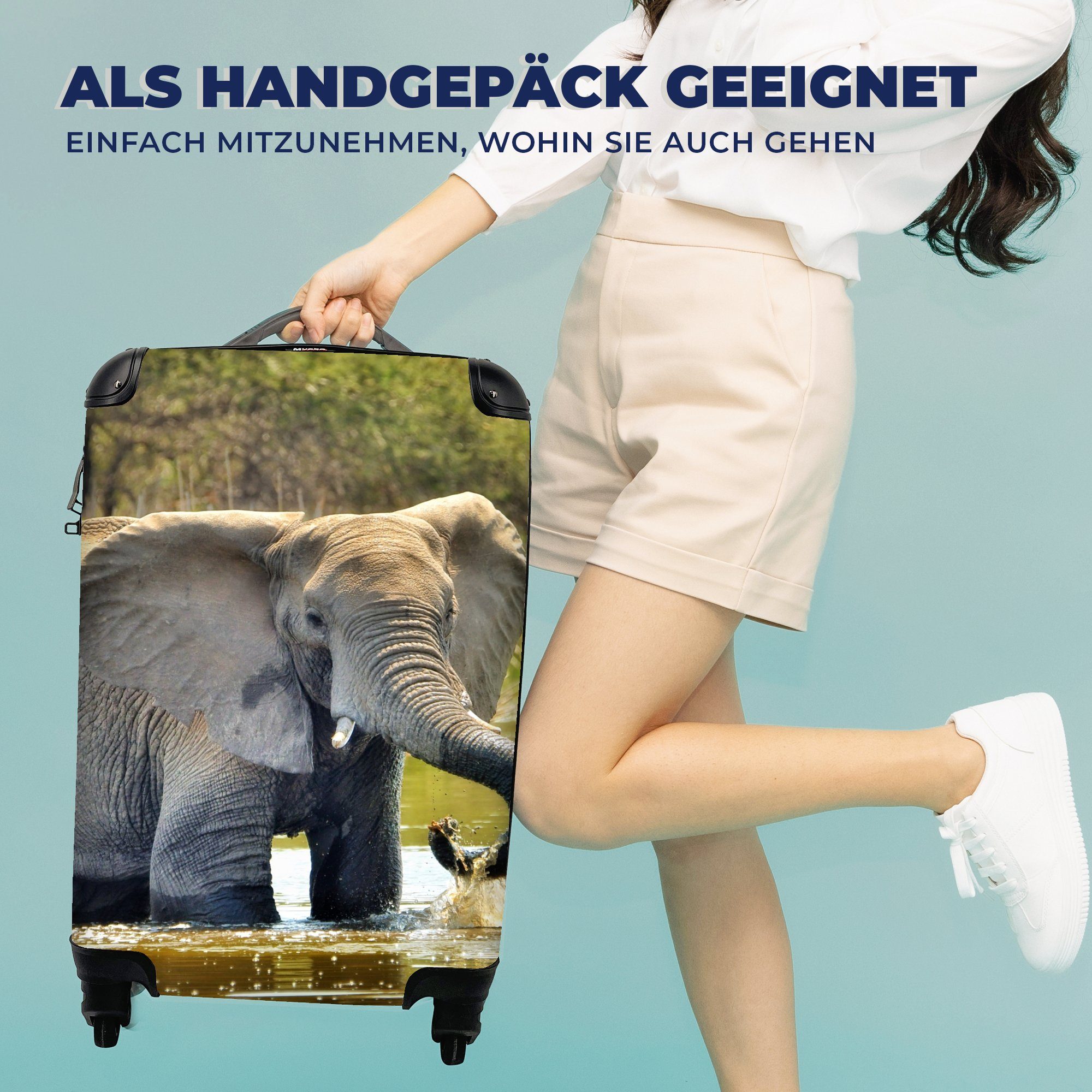 rollen, Handgepäck mit für Wasser Tiere Handgepäckkoffer Rollen, - - - Natur, Reisekoffer Trolley, MuchoWow Ferien, Reisetasche 4 Elefant