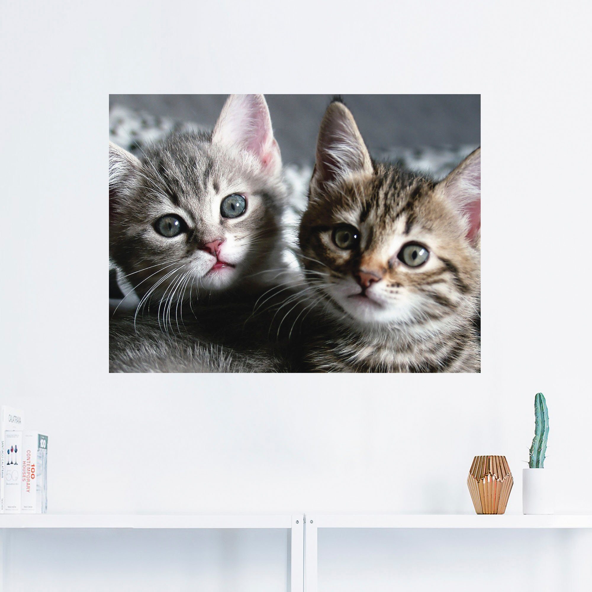 Artland Wandbild Katze, Haustiere (1 St)