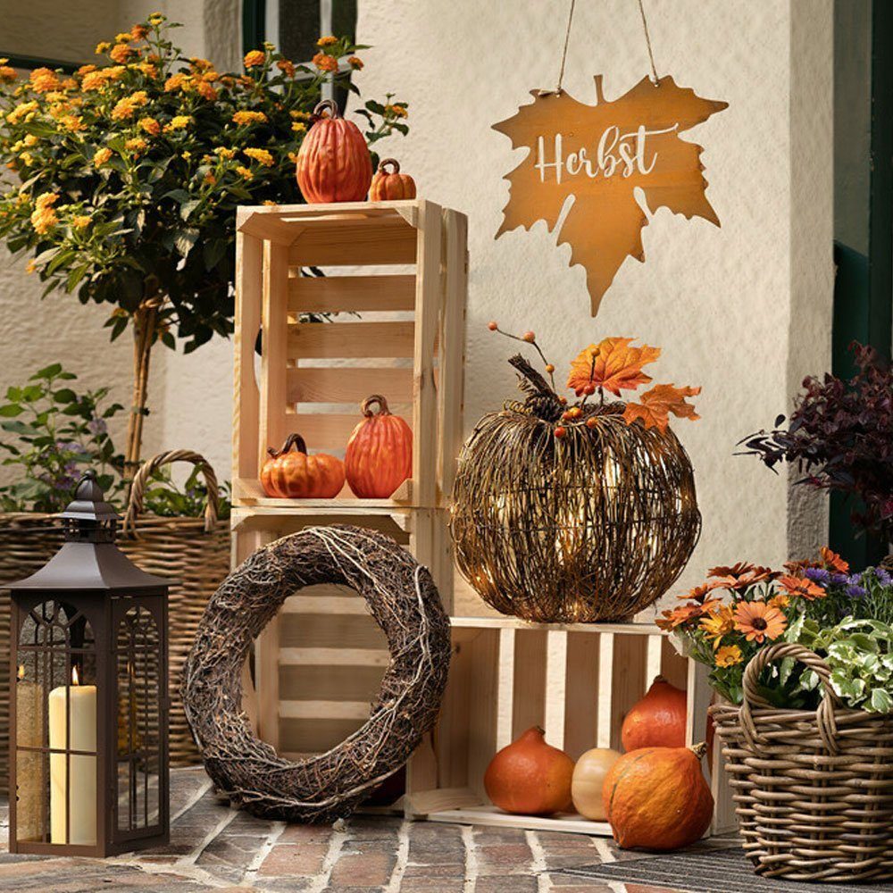 Home-trends24.de LED-Dekofigur LED Kürbis Weide Herbst günstig online kaufen