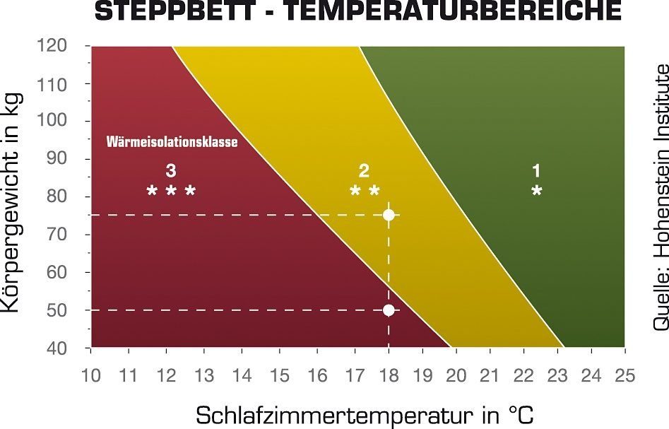 Haeussling Daunenbettdecke Königstraum 60/40, Füllung: 60% Daunen, 40% Federn