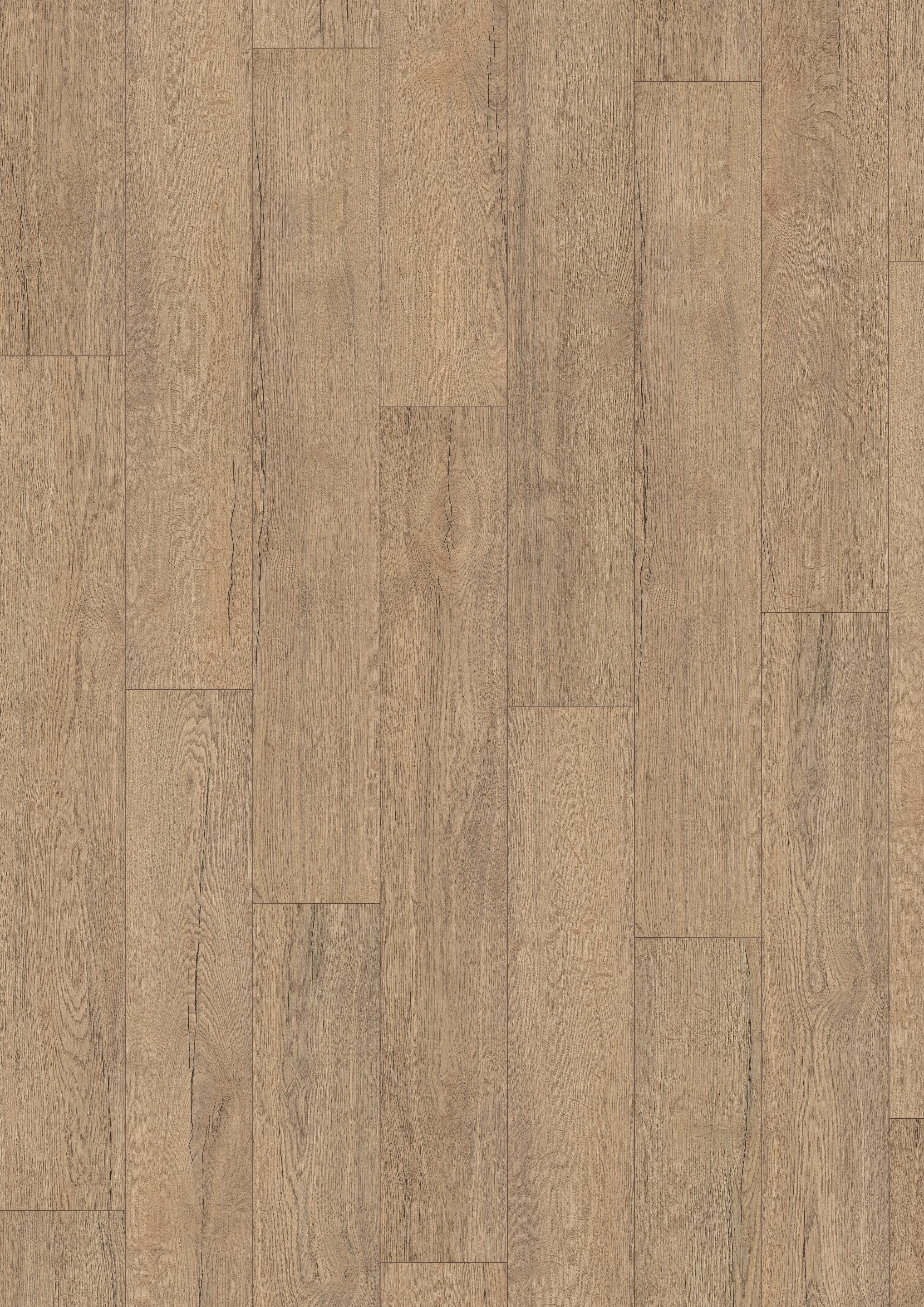 EGGER Laminat Promo NL2082 Elva Eiche natur, (8mm, 1,995qm), Praktisch & Pflegeleicht