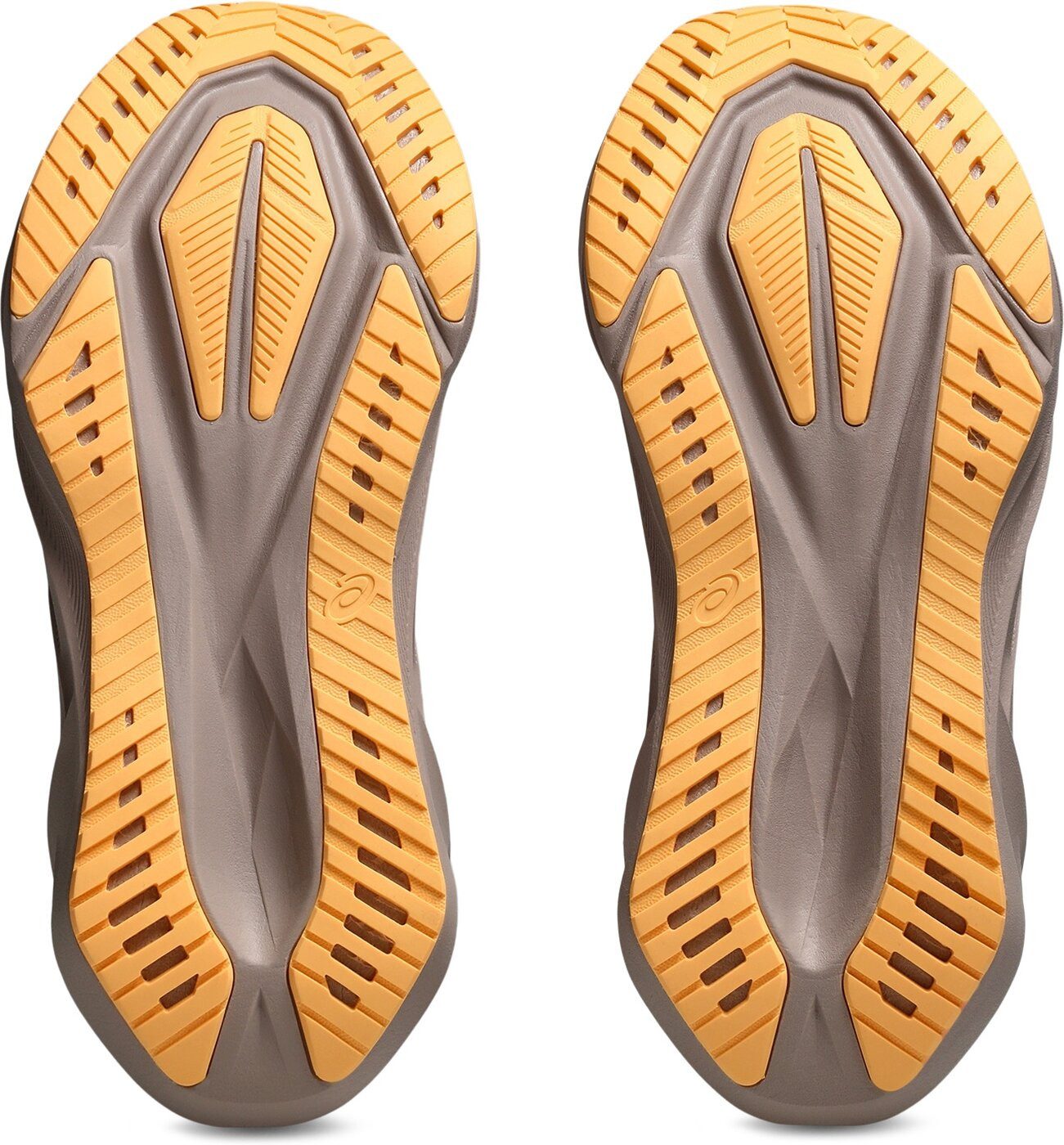 Asics NOVABLAST 5 WHITE/FAWN Laufschuh günstig online kaufen