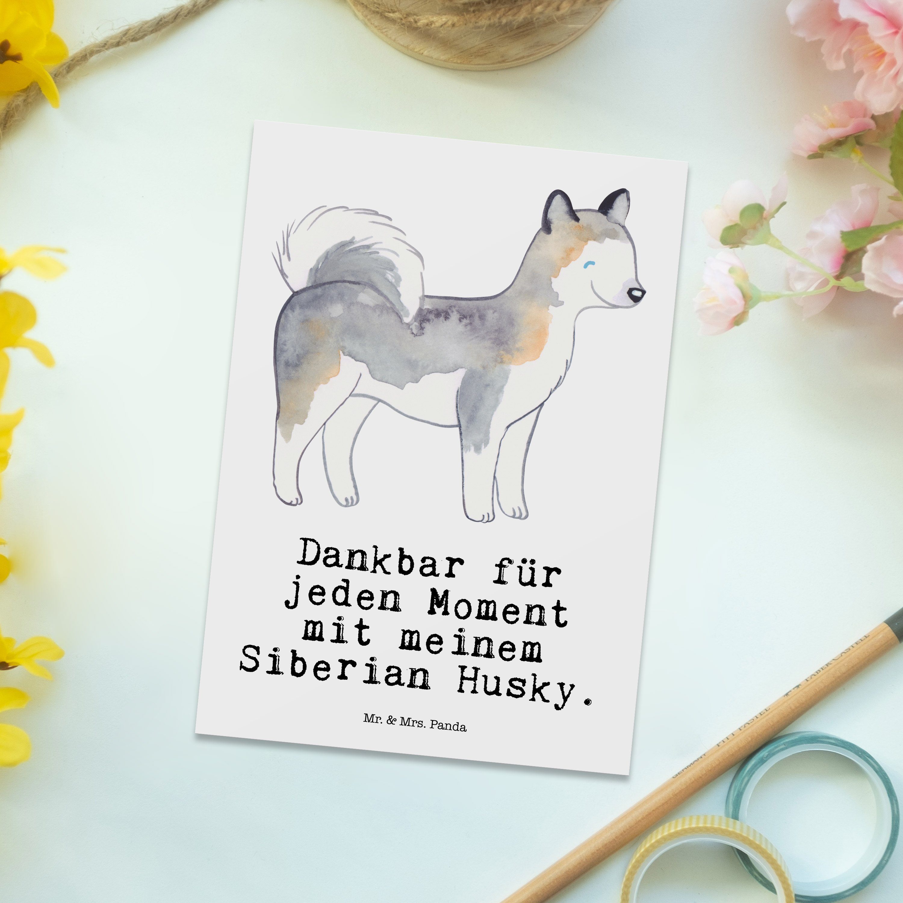 Mr. & - Geburtstagskarte, Geschenk, Postkarte Moment Mrs. Siberian - Panda Husky Weiß Tierfreund