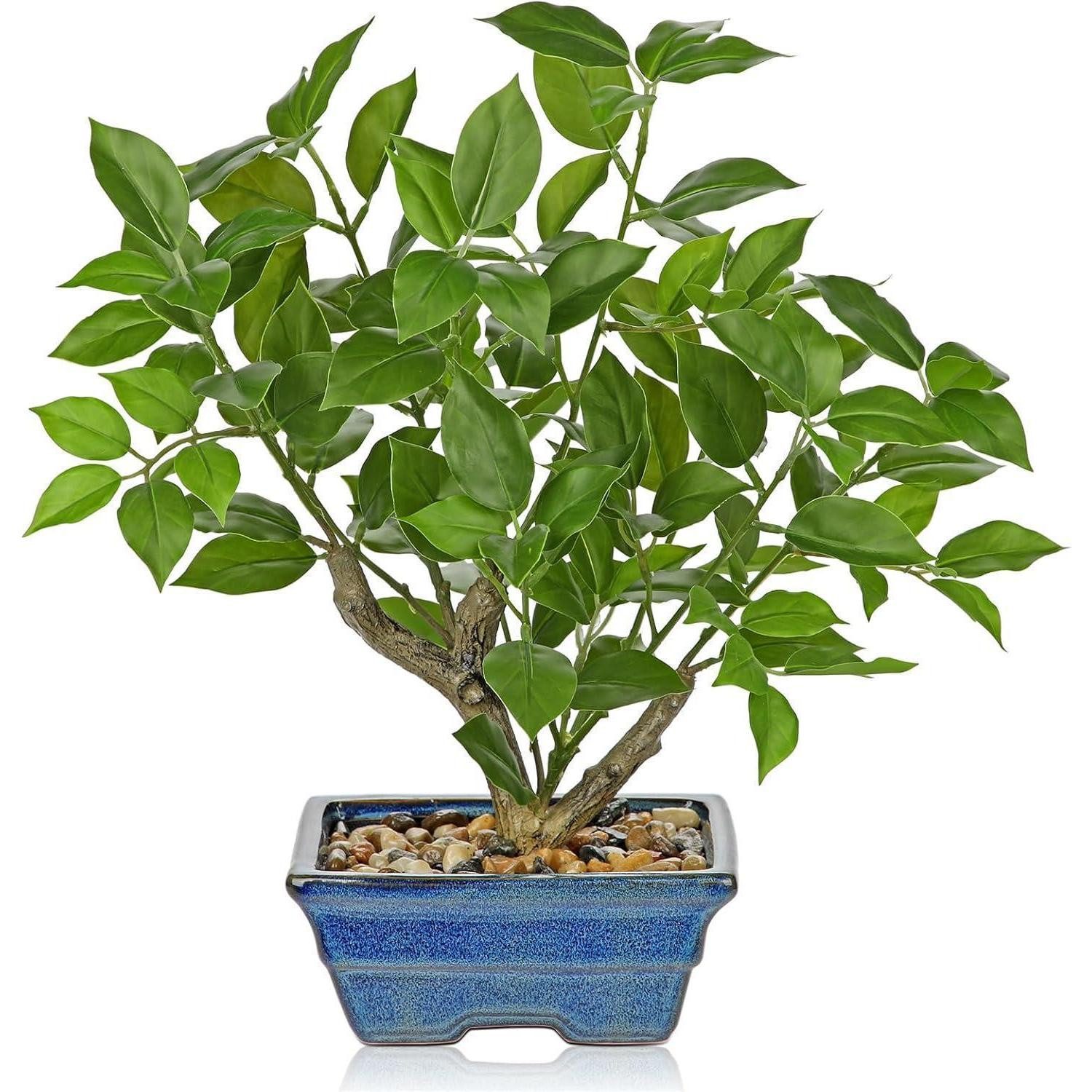 Künstliche Zimmerpflanze Kunstpflanze Ficus 39cm Topf Fensterbank Wohnzimmer Blau Grün, LuxusKollektion