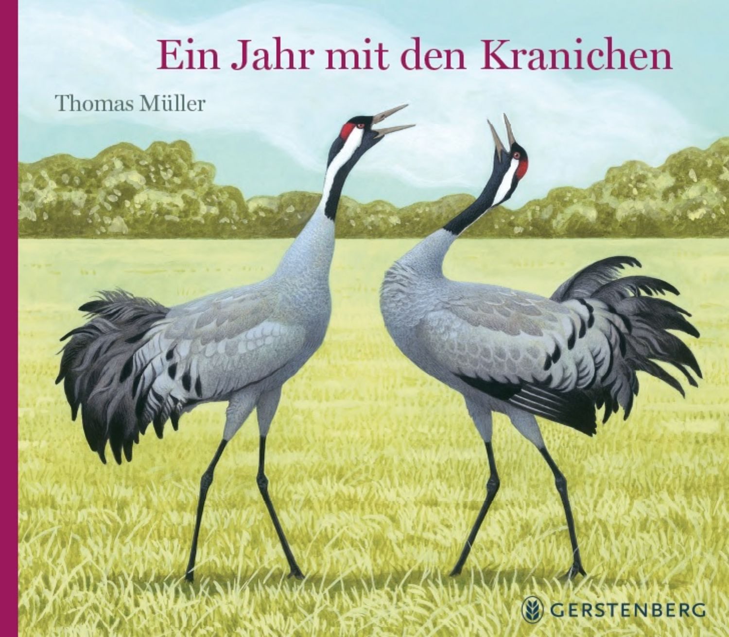 Ein Jahr mit den Kranichen / Thomas Müller