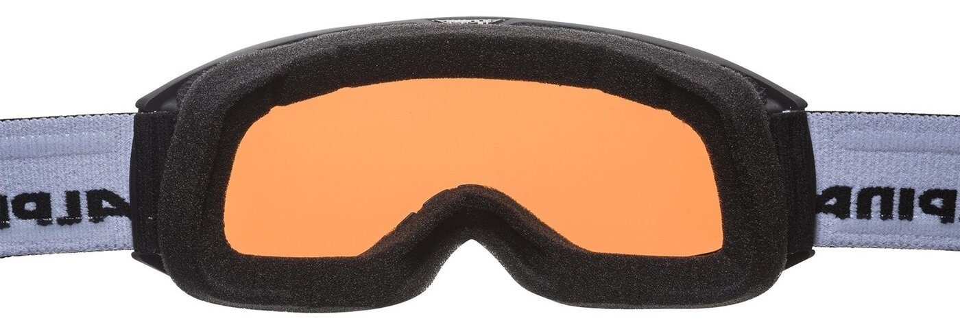 Alpina Sports Skibrille ALPINA NAKISKA QH