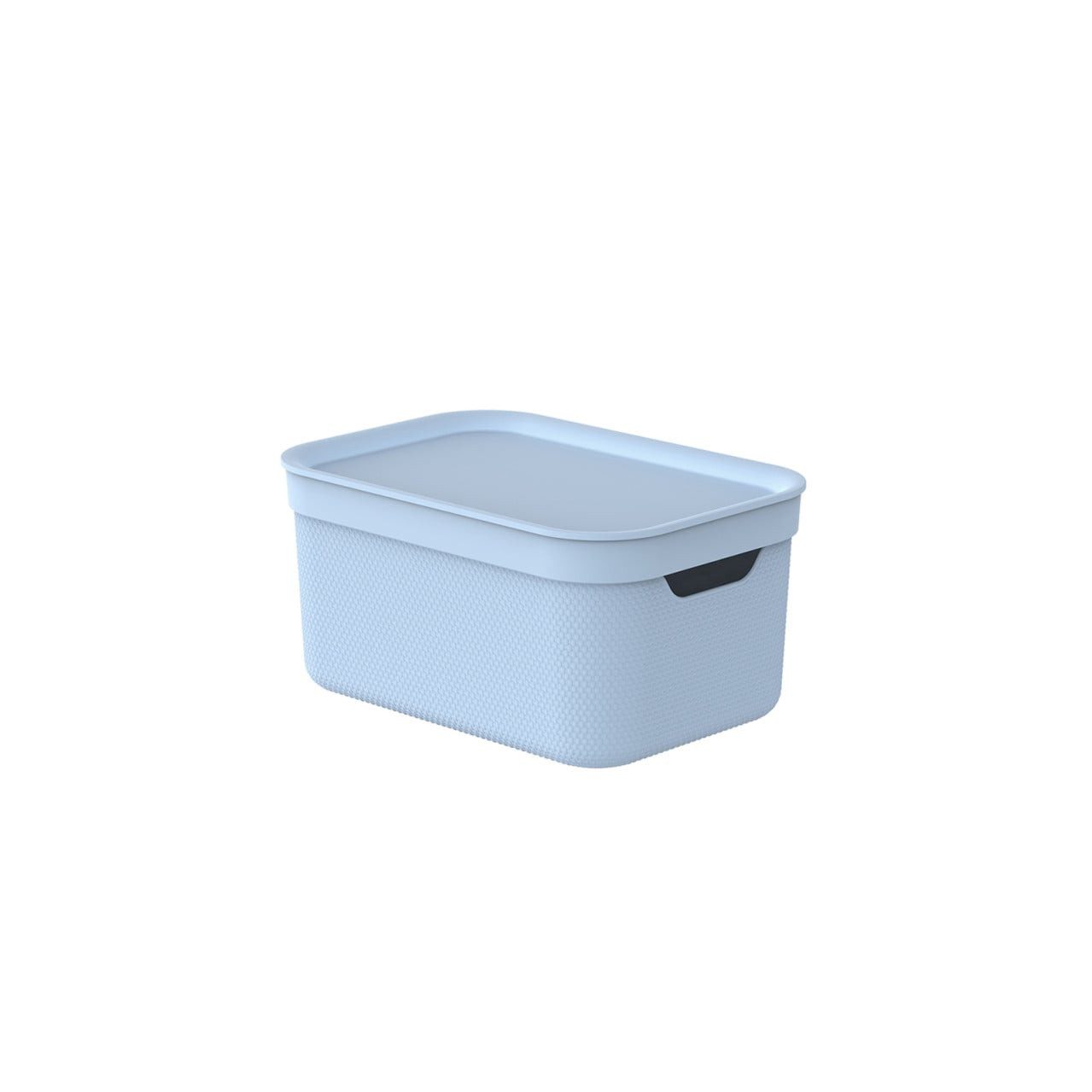 ROTHO Aufbewahrungsbox Rotho Aufbewahrungsbox Alvra mit Deckel 26,5 x