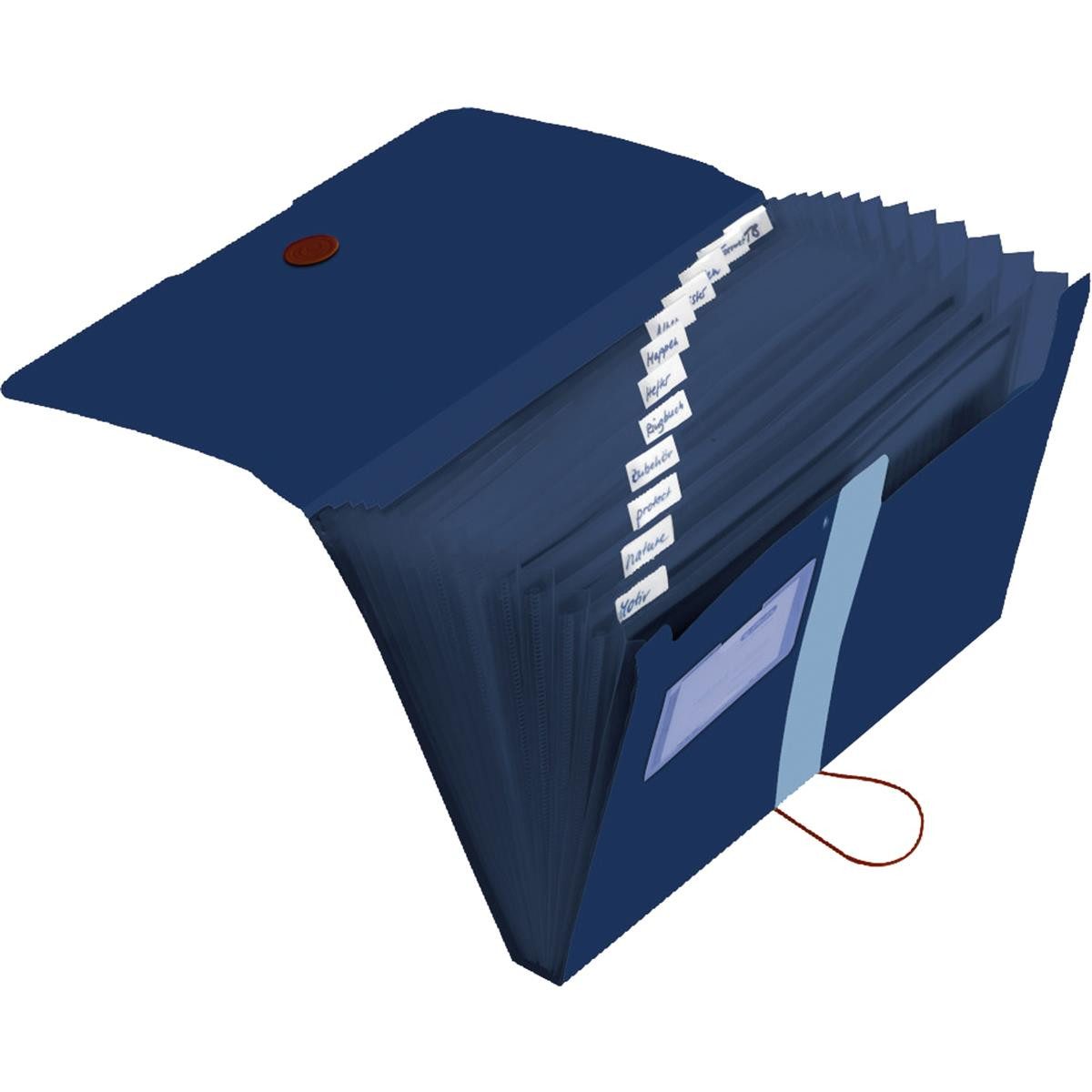 Pelikan Fächermappe Herlitz Fächermappe 11411261 12Fächer Recycling PP dunk günstig online kaufen