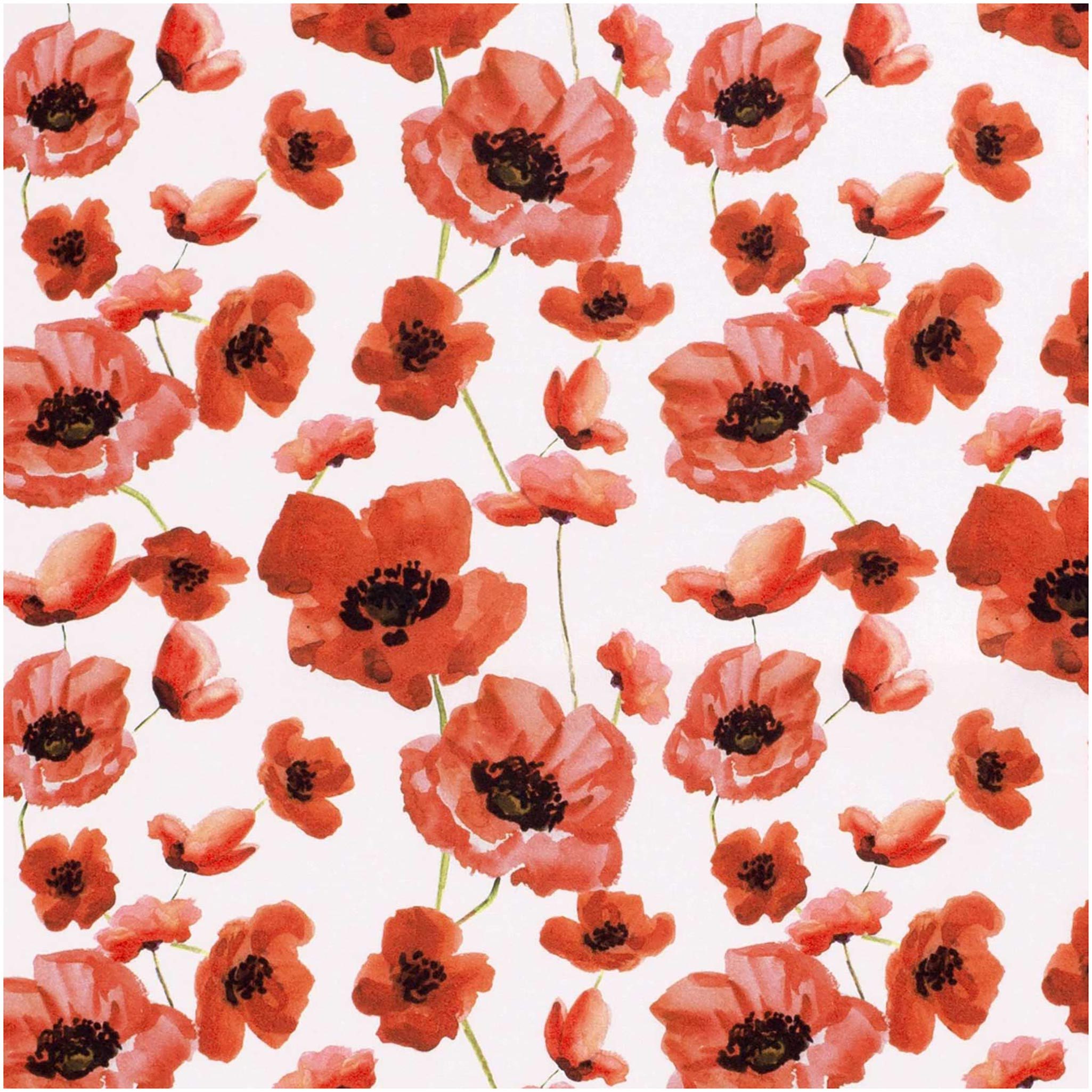 maDDma Stoff Popeline Baumwollstoff Blumen ab 100x145cm, Mohnblume