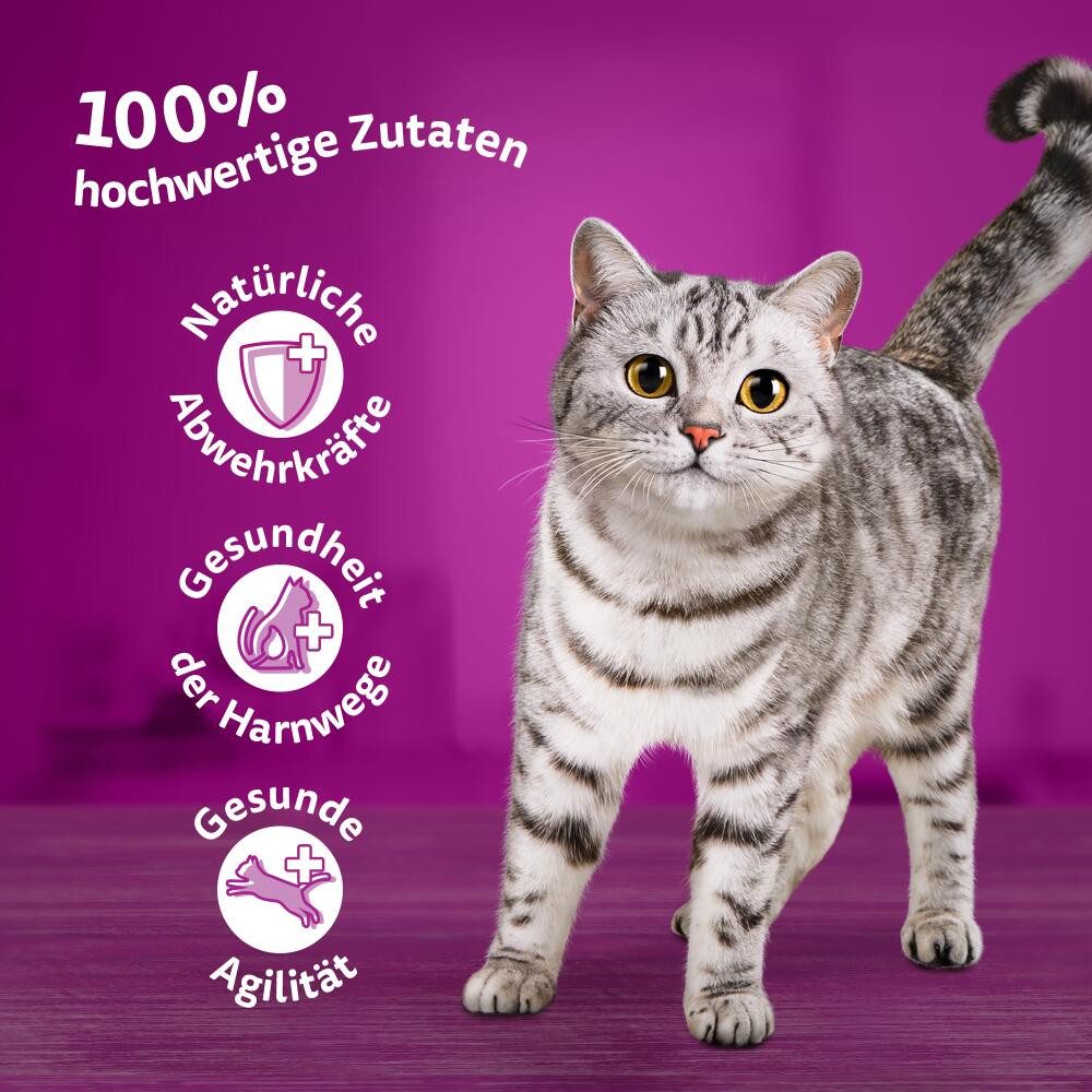 Whiskas WHISKAS® Portionsbeutel Multipack 7+ Fisch Auswahl in Gelee 40 x 85g, Nassfutter für: Katze
