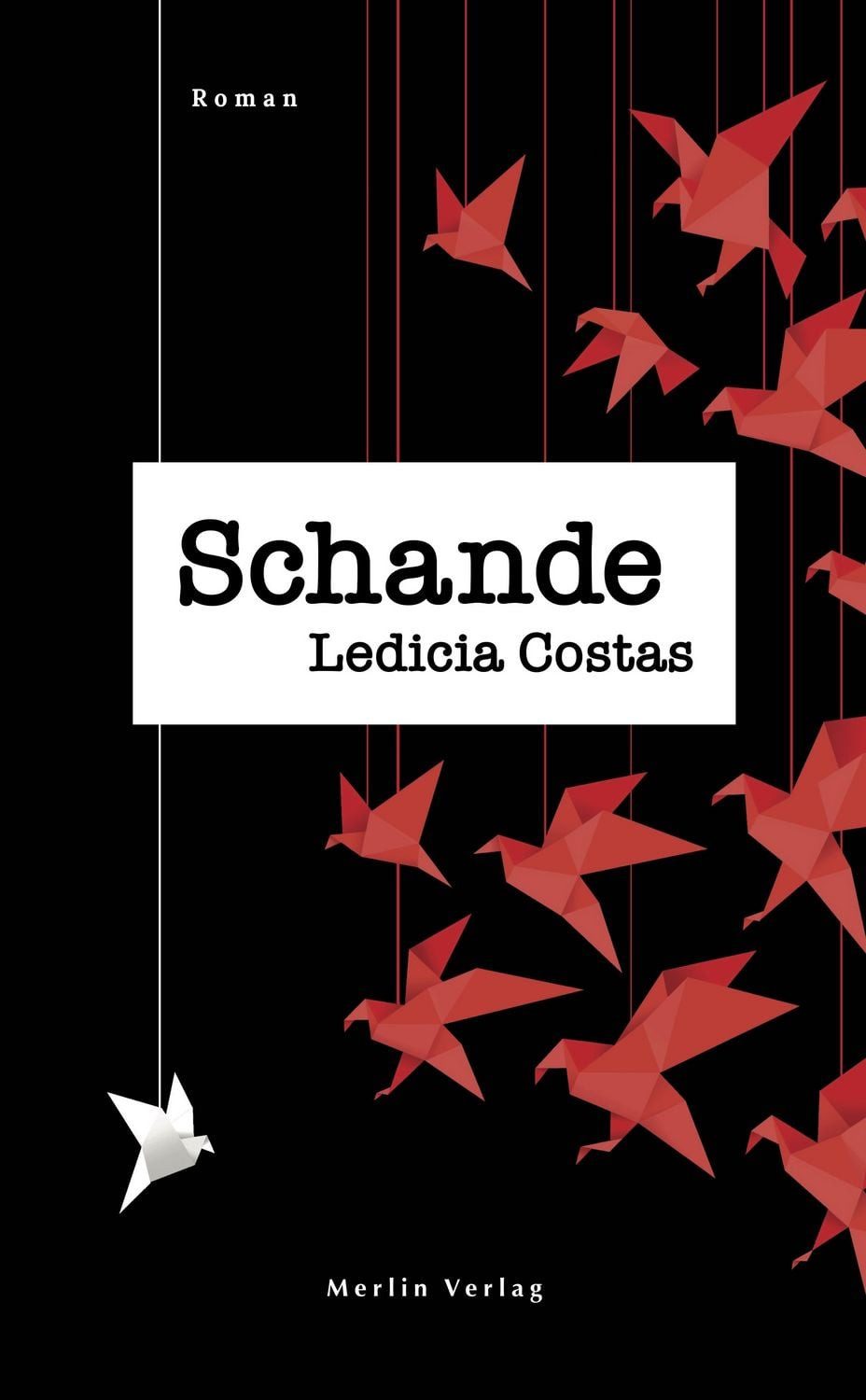Schande / Ledicia Costas