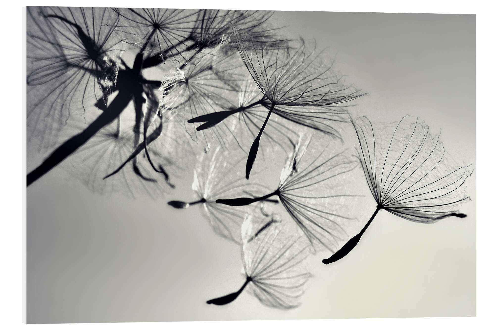 Forex-Bild Julia Delgado