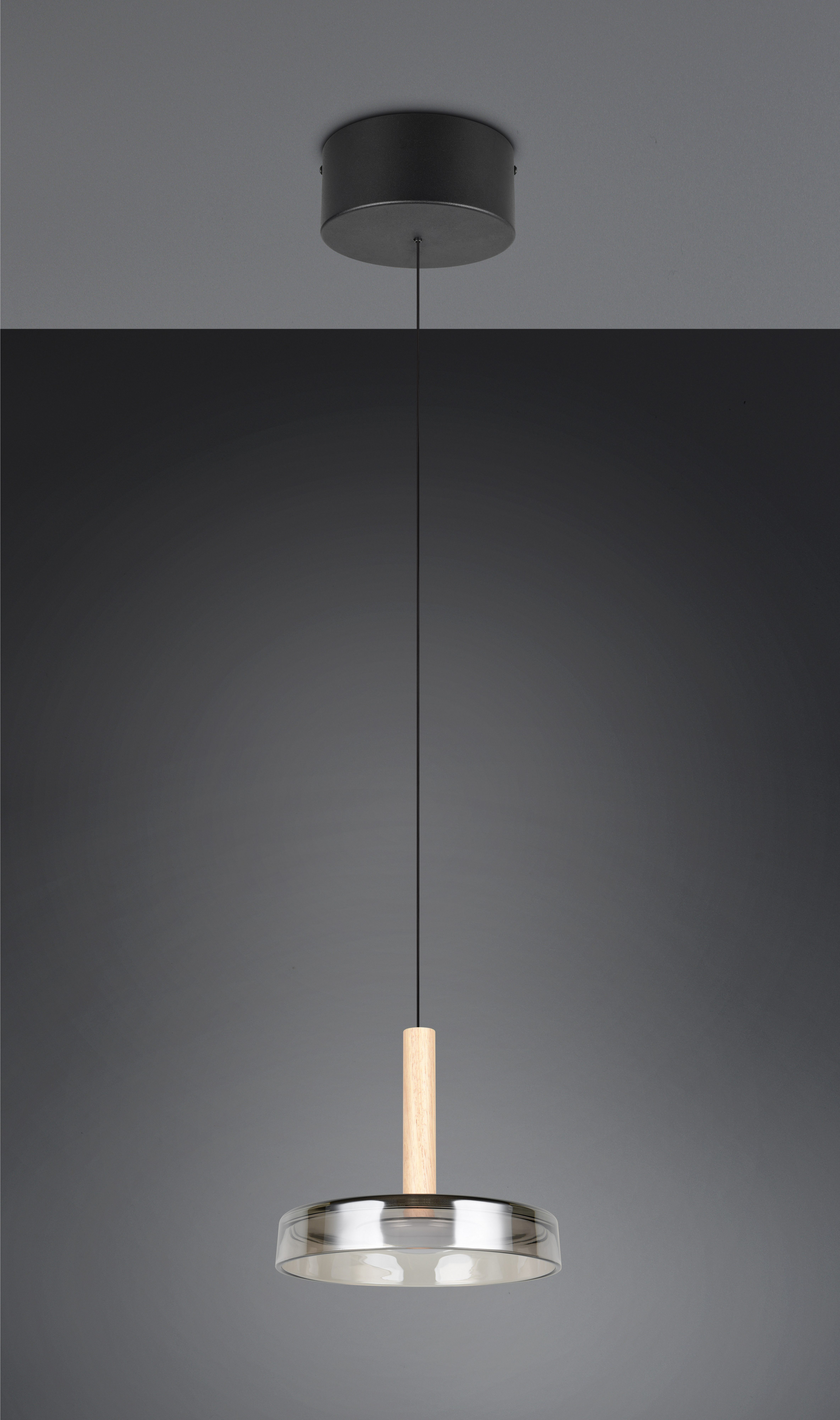 TRIO Leuchten LED Pendelleuchte CELESTE dimmbare LED Hängelampe aus Metall Glas & Holz, 10W 1100 Lumen, Dimmfunktion, LED fest integriert, Warmweiß, einfach höhenverstellbar von 50-200 cm, Ø 22cm, 3-Stufen Dimmfunktion
