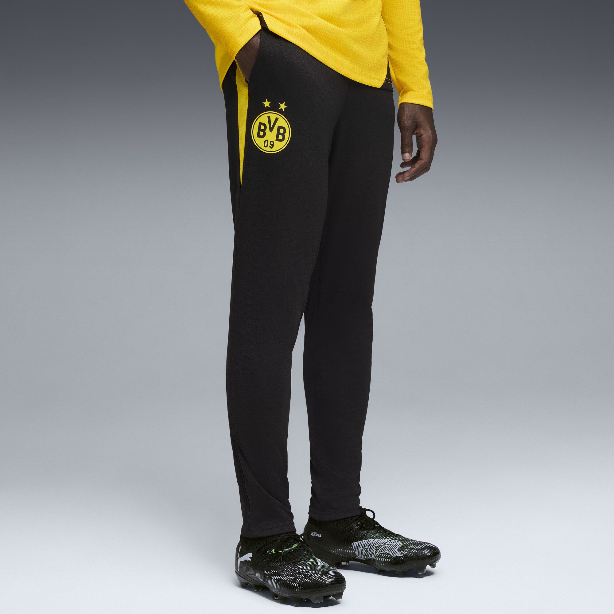 PUMA Sporthose Borussia Dortmund Trainingshose Herren günstig online kaufen