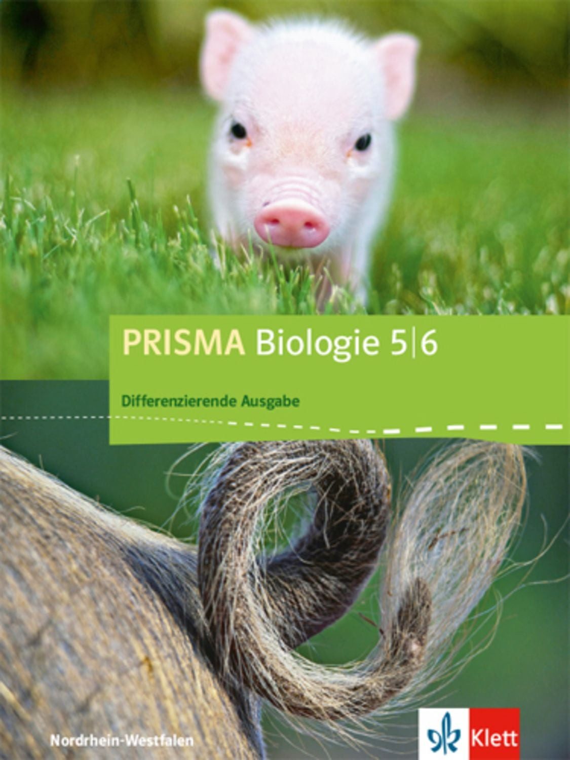 PRISMA Biologie 5/6. Differenzierende Ausgabe Nordrhein-Westfalen / diverse