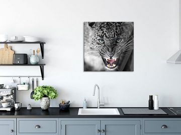 Pixxprint Glasbild schöner fauchender Leopard, schöner fauchender Leopard (1 St), Glasbild aus Echtglas, inkl. Aufhängungen und Abstandshalter