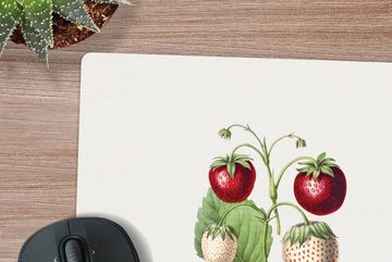 MuchoWow Gaming Mauspad Erdbeeren - Pflanze - Frucht (1-St), Mousepad mit Rutschfester Unterseite, Gaming, 40x40 cm, XXL, Großes