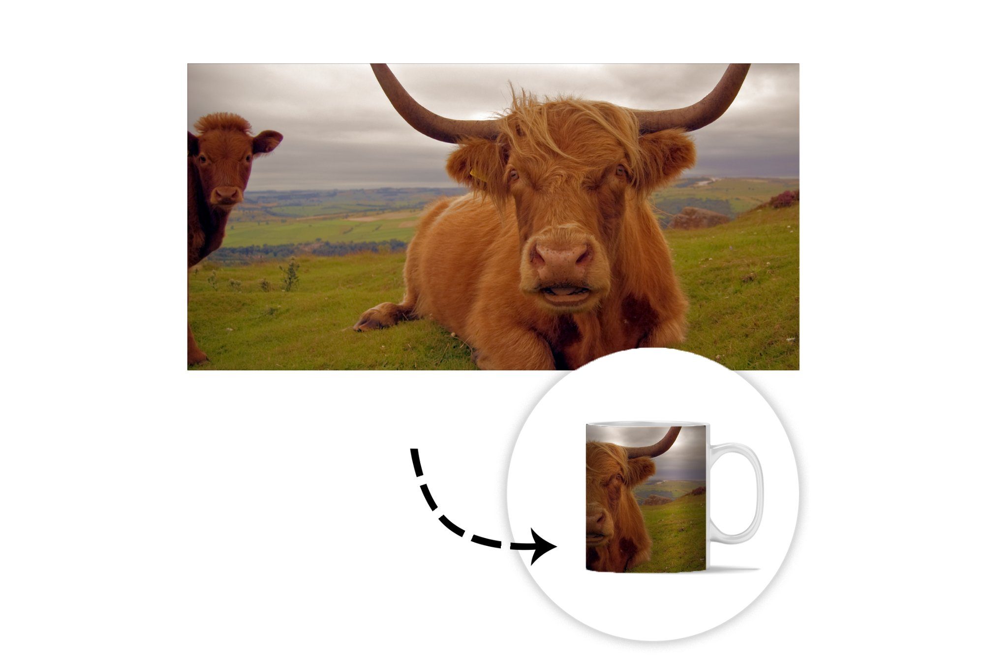 MuchoWow Tasse Schottischer Highlander Teetasse, Keramik, Becher, - Geschenk Berg, - Teetasse, Tiere Kaffeetassen