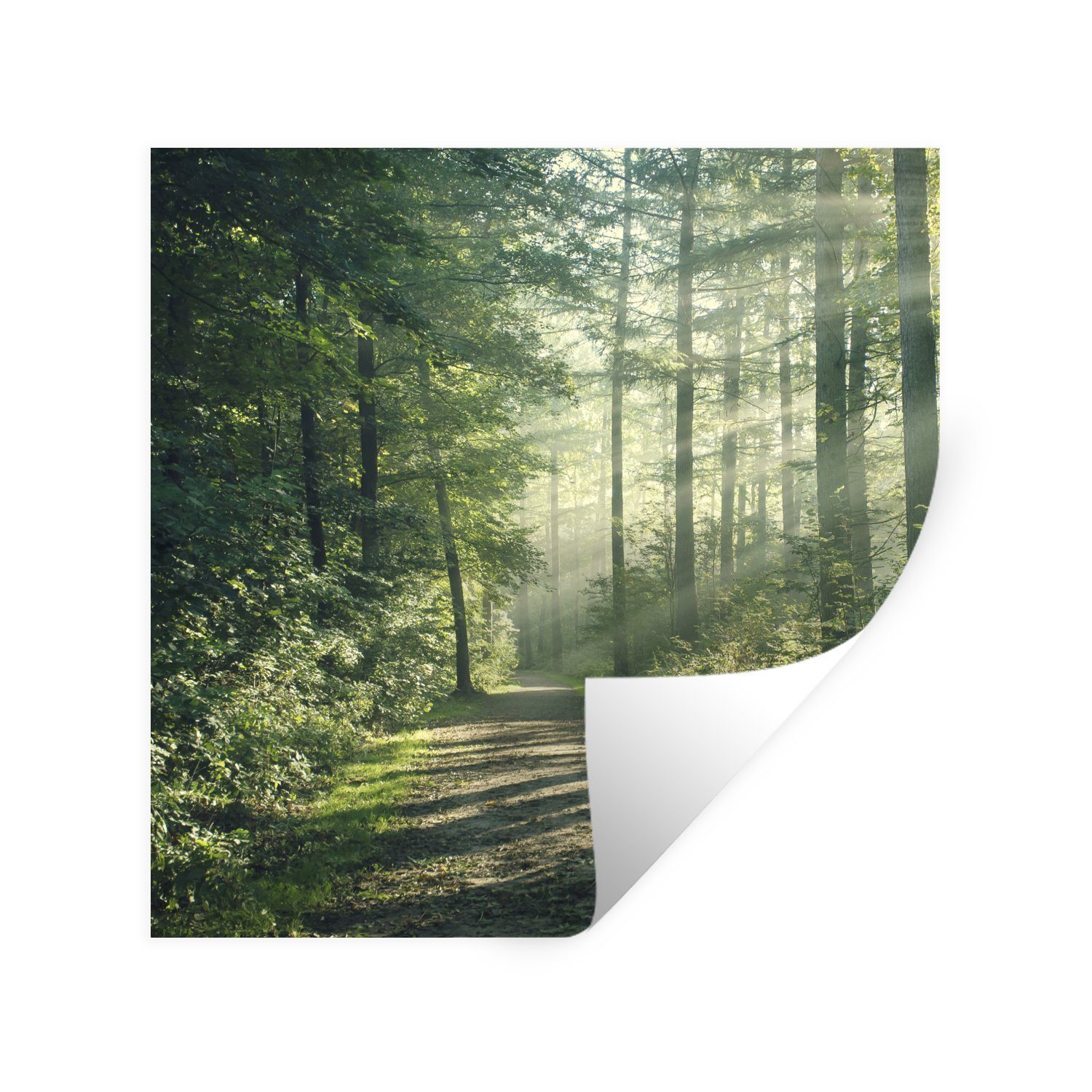 MuchoWow Wandsticker Wald - Weg - Sonne - Bäume - Grün - Natur (1 St), Wandaufkleber, Selbstklebend, Wohnzimmer, 30x30 cm
