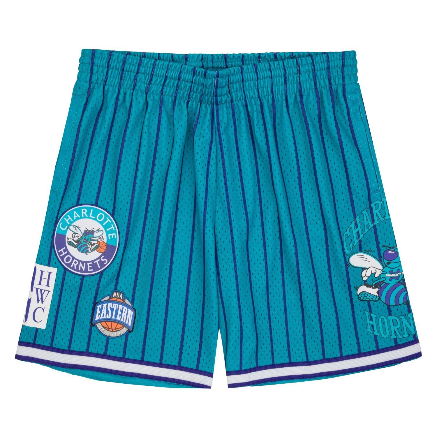 Mitchell & Ness Shorts Charlotte Hornets City Collection