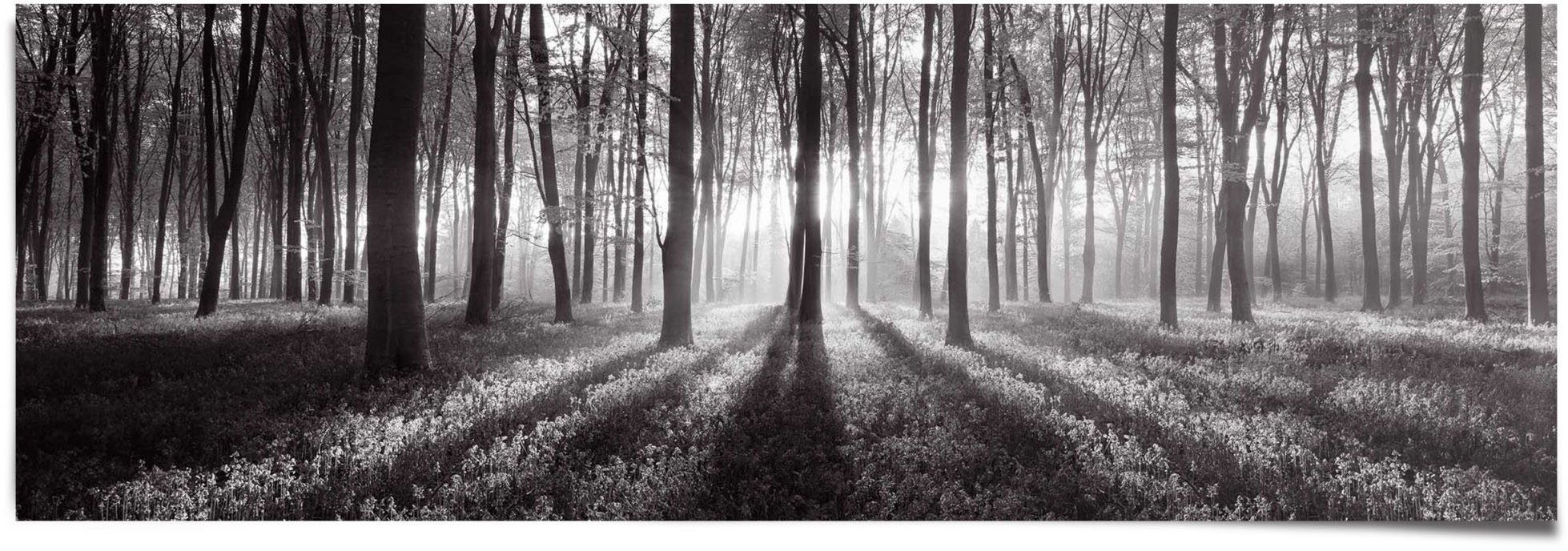 Reinders! Poster St) Schwarz-Weiß, Wald (1 Sonnenaufgang im