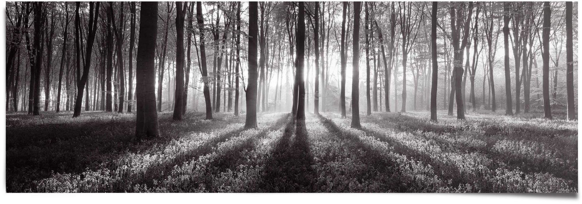 Reinders! Poster im Sonnenaufgang Schwarz-Weiß, St) (1 Wald