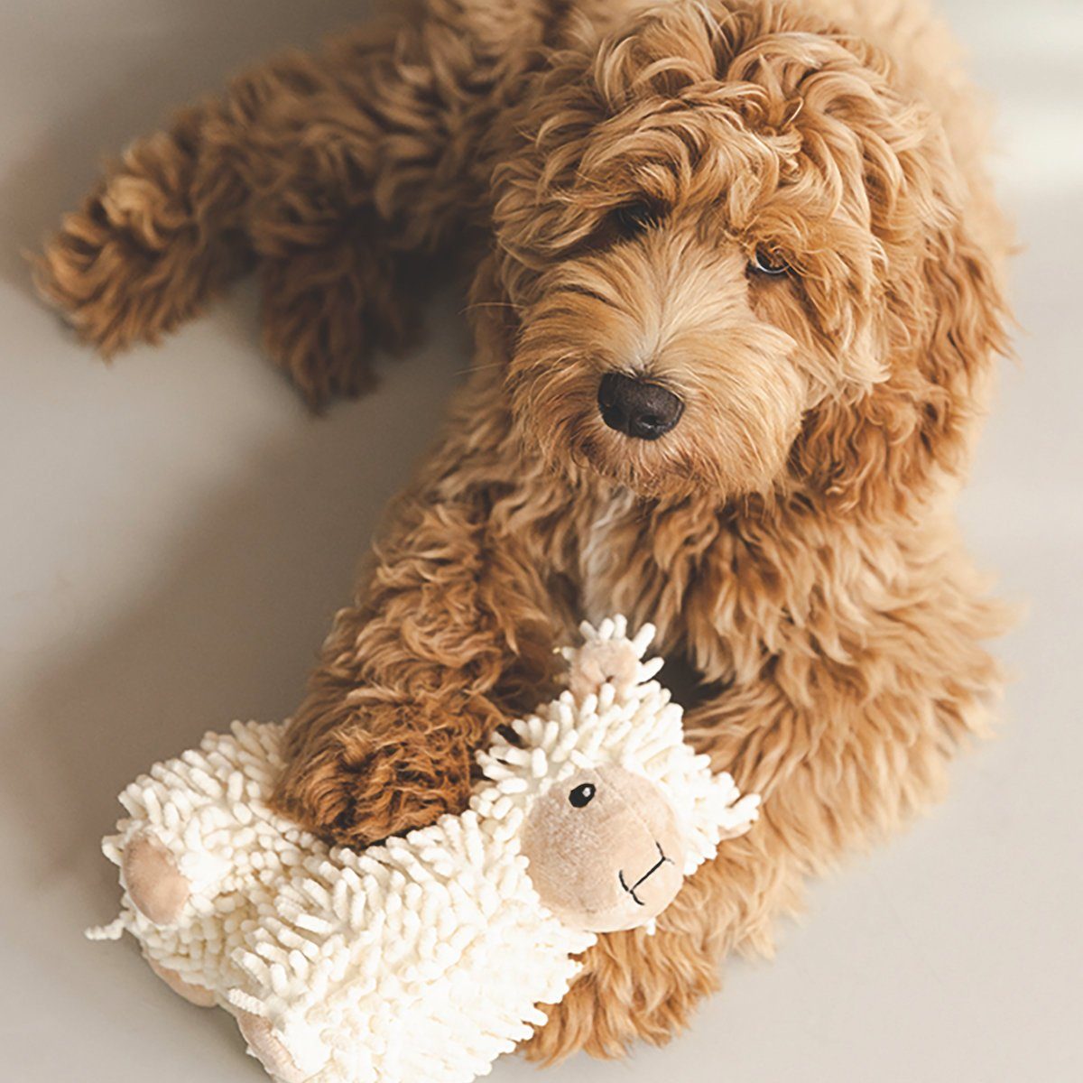 Beeztees Tierkuscheltier Hundespielzeug Eco Schaf Jovi günstig online kaufen