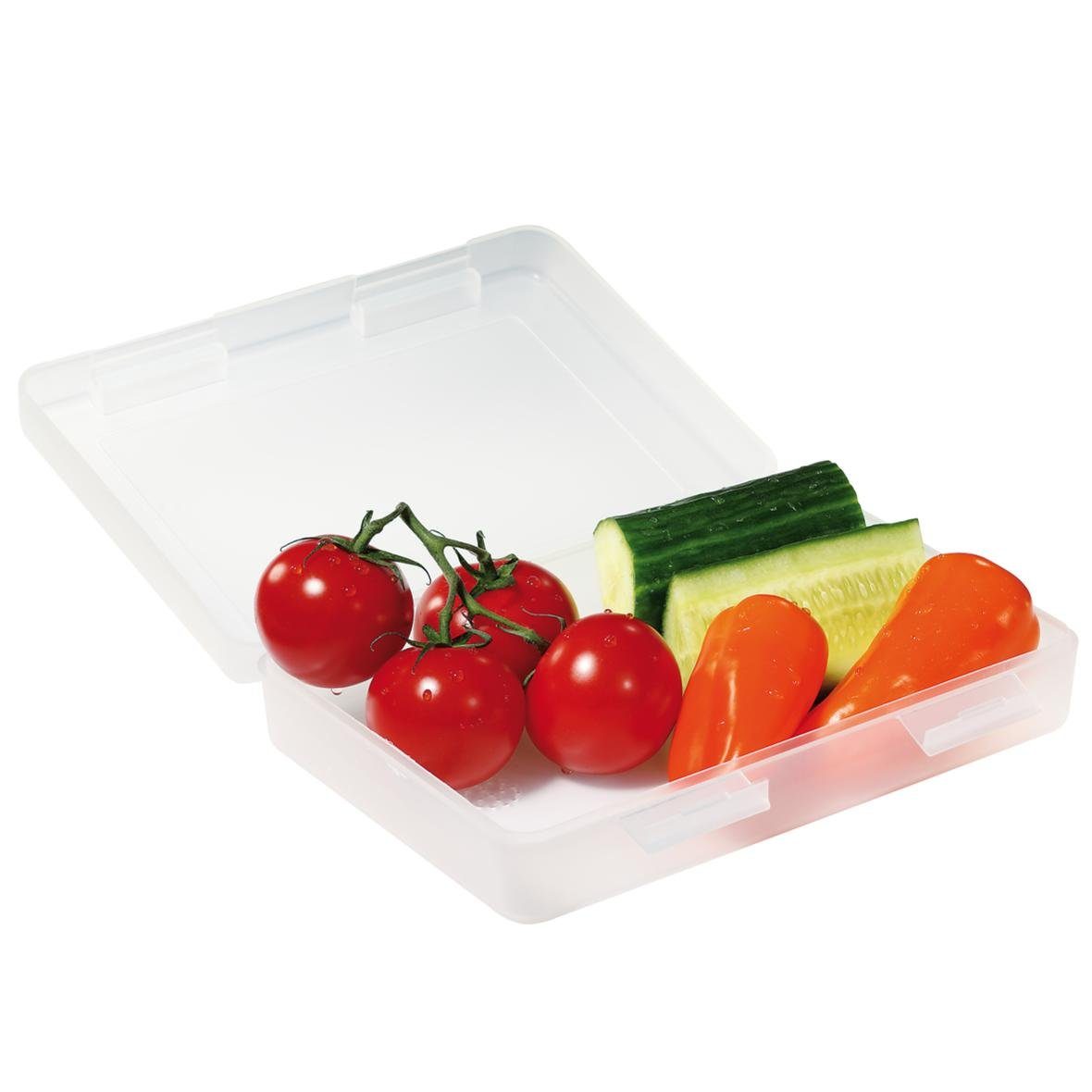 elasto Lunchbox "Snack-Box" 850 ml Brotdose Made in Germany Vorratsdose To Go