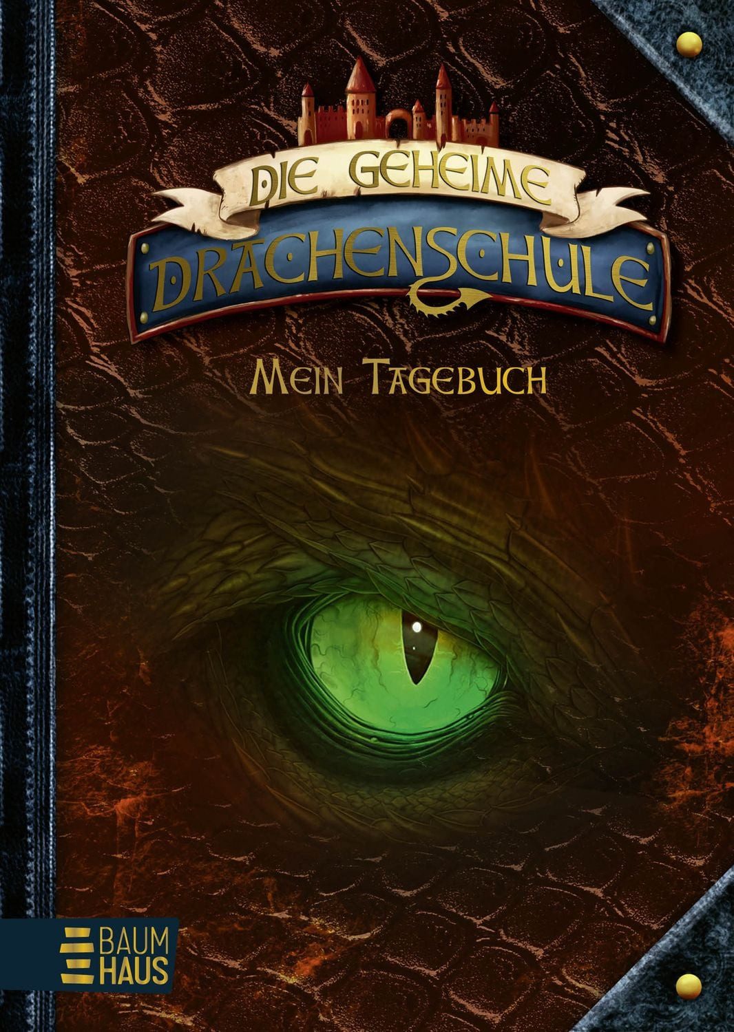 Die geheime Drachenschule - Mein Tagebuch / Emily Skye