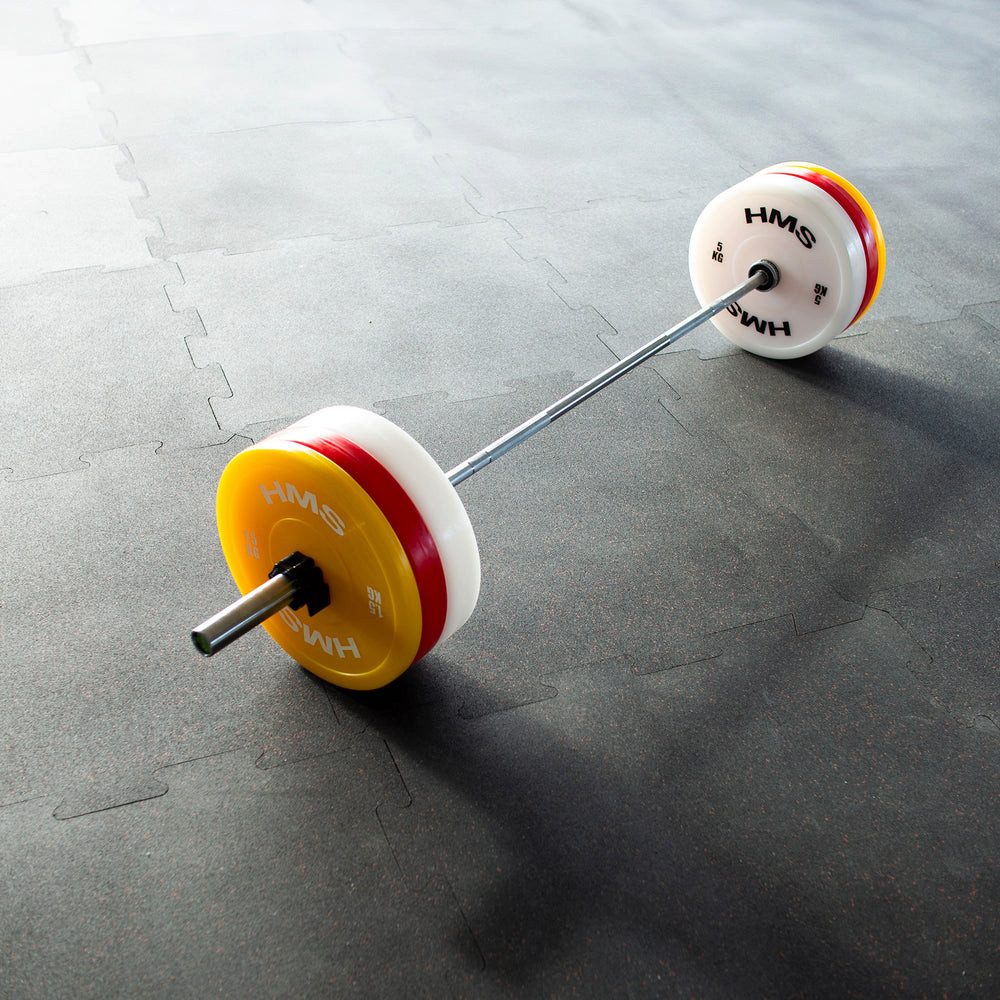 HMS Gewichtsscheibe 2 x 5 kg Olympische Hantelscheiben, (Spar-Set, 2-tlg., Langlebigkeit), feuchtigkeitsresistent und bodenschonend für langlebiges Training