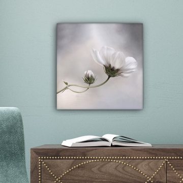 OneMillionCanvasses® Leinwandbild Blumen - Stillleben - Natur - Grau, (1 St), Leinwand Bilder für Wohnzimmer Schlafzimmer, 20x20 cm
