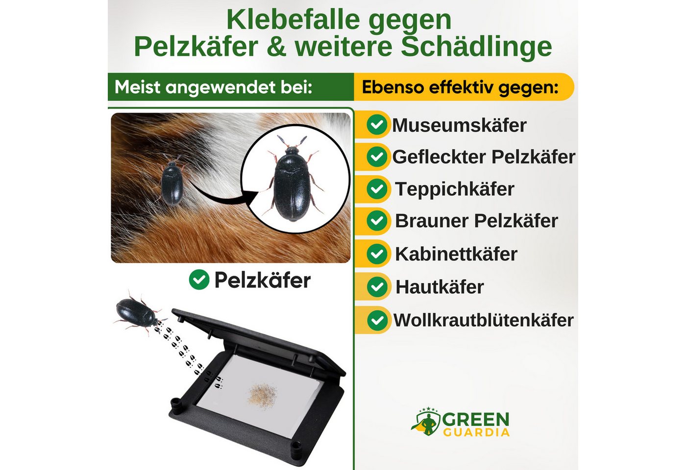 Thumbnail - GREEN GUARDIA Insektenfalle Pelzkäfer Falle mit Pheromon-Lockstoff - insektizidfrei, Umweltfreundliche & Effektive Schäd...