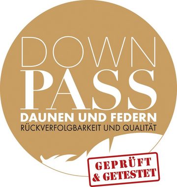 3-Kammer-Kopfkissen Kuscheltraum, Kissen mit Hausstaub- & Milbenbarriere, Haeussling, Füllung: Außenkammern mit 60% Daunen, 40% Federn, Bezug: 100% Baumwolle, Bauchschläfer, Rückenschläfer, Seitenschläfer, Kopfkissen 40x80 cm, 80x80cm, Made in Germany