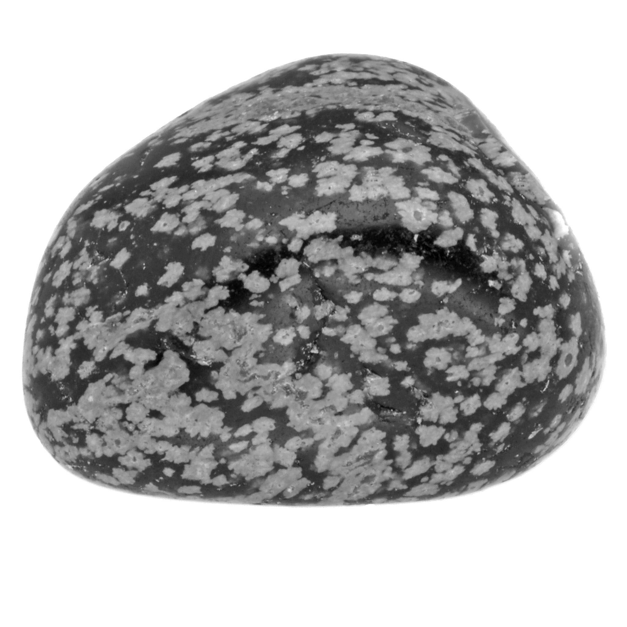 Lebensquelle Plus Edelstein Schneeflockenobsidian Trommelstein