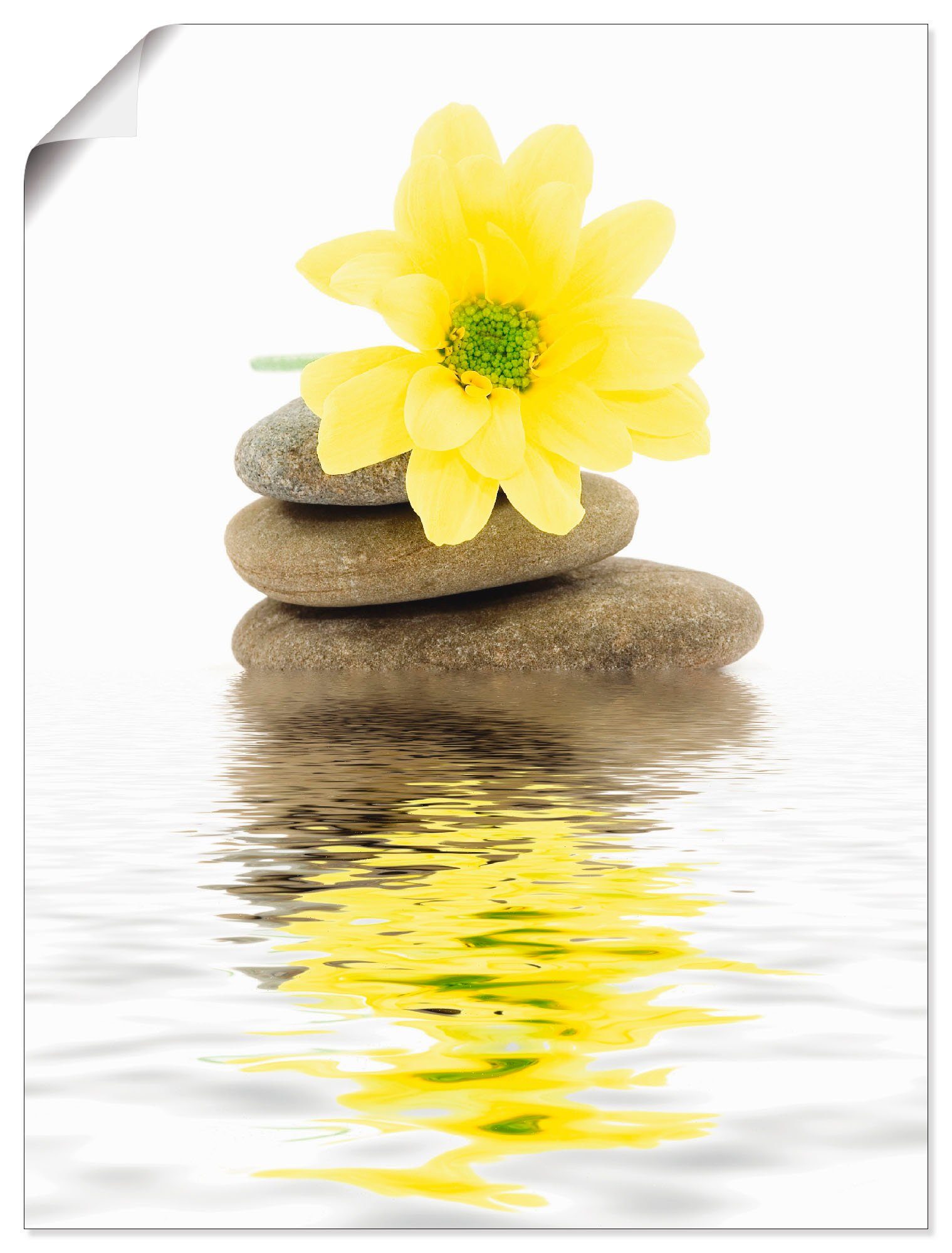 Artland Wandbild Zen Spa Steine mit Blumen II, Zen (1 St), als Alubild, Leinwandbild, Wandaufkleber oder Poster in versch. Größen | Poster