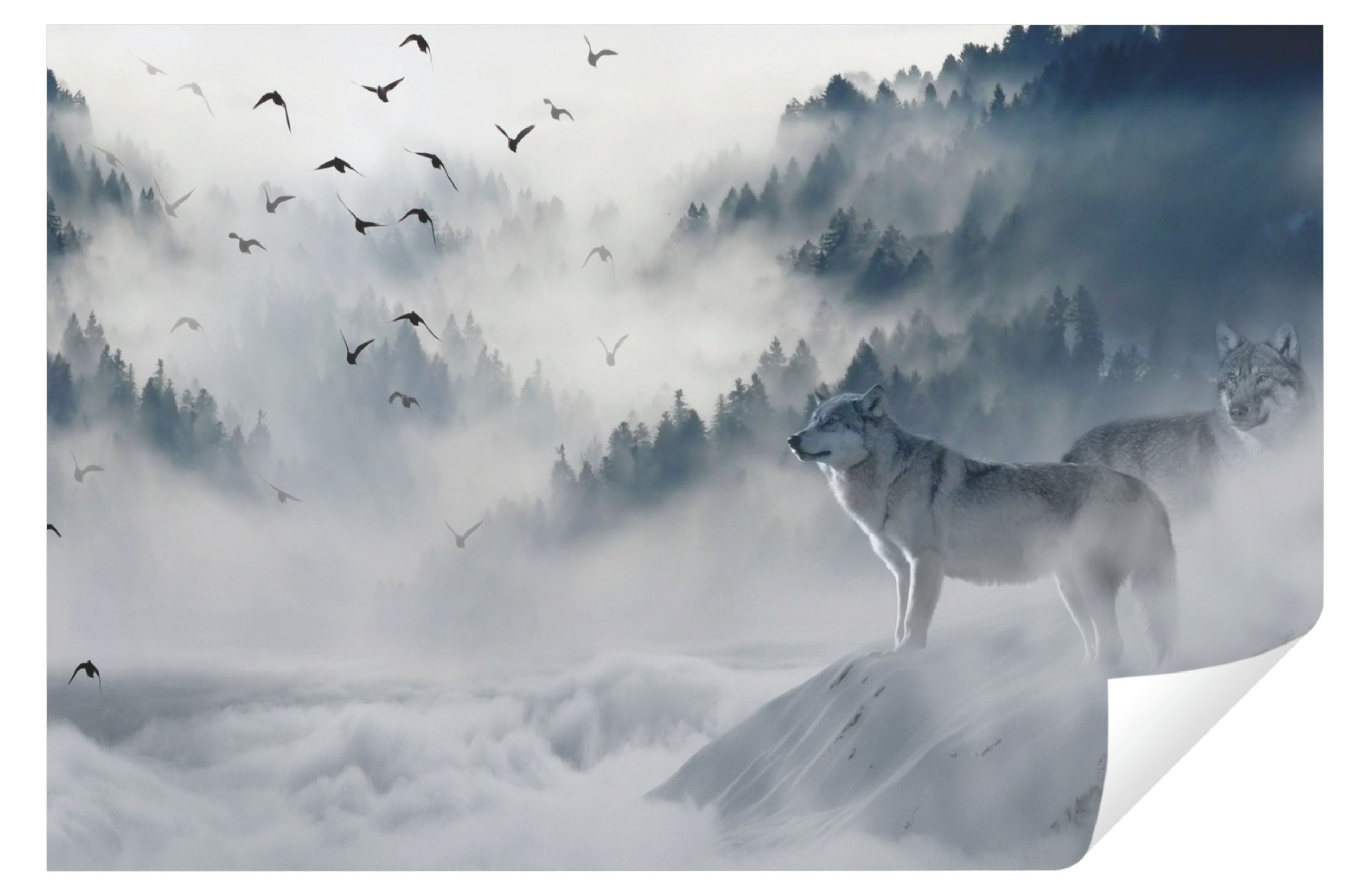 Wallarena Fototapete Wald im Nebel Natur günstig online kaufen