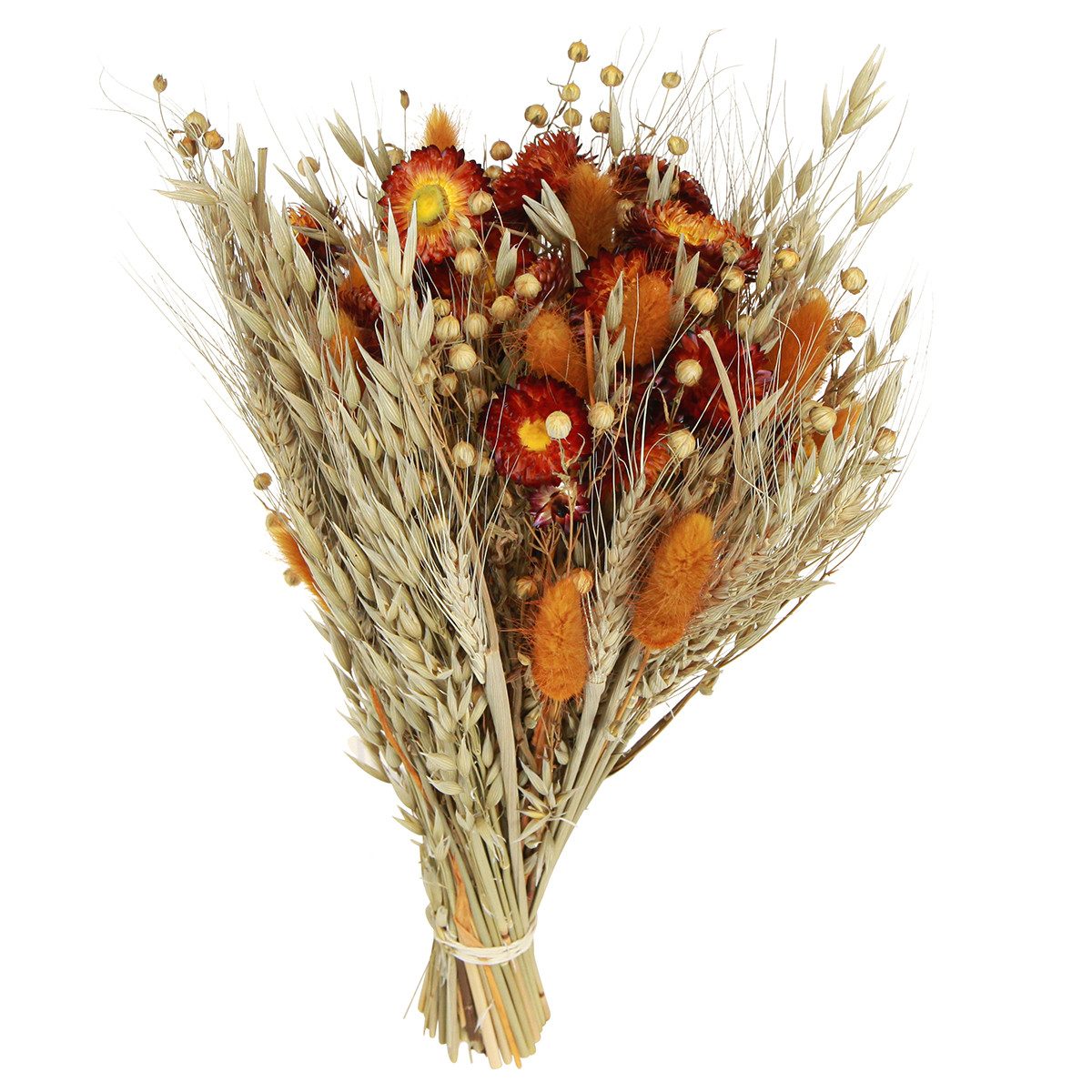 Trockenblume Dekorative Trockenblumenstrauß Orange-Mix, Natürliche Tischdek günstig online kaufen