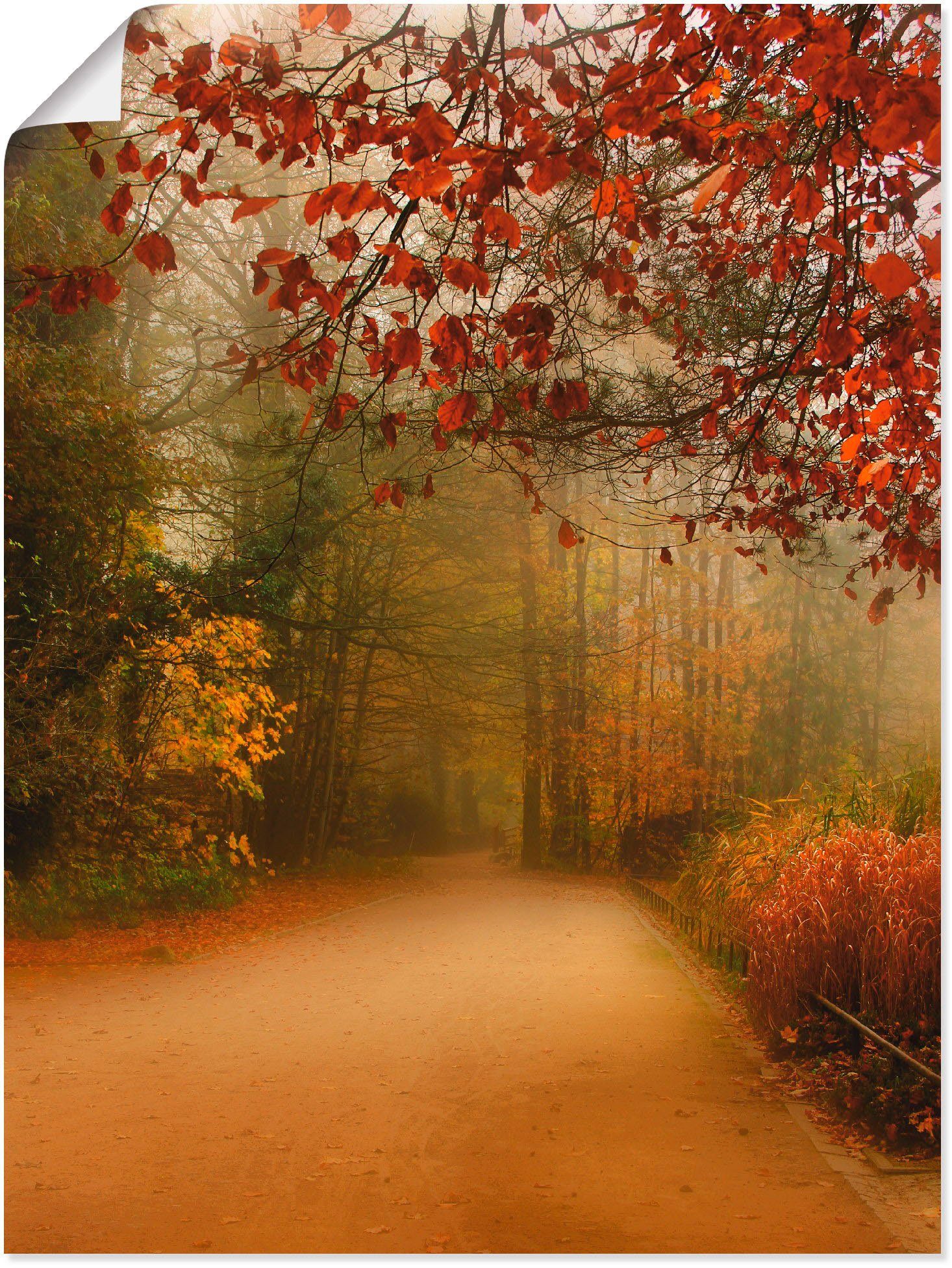 als Größen in Vier Leinwandbild, Park, Herbst Wandaufkleber Poster St), im oder versch. Artland Wandbild (1 Jahreszeiten