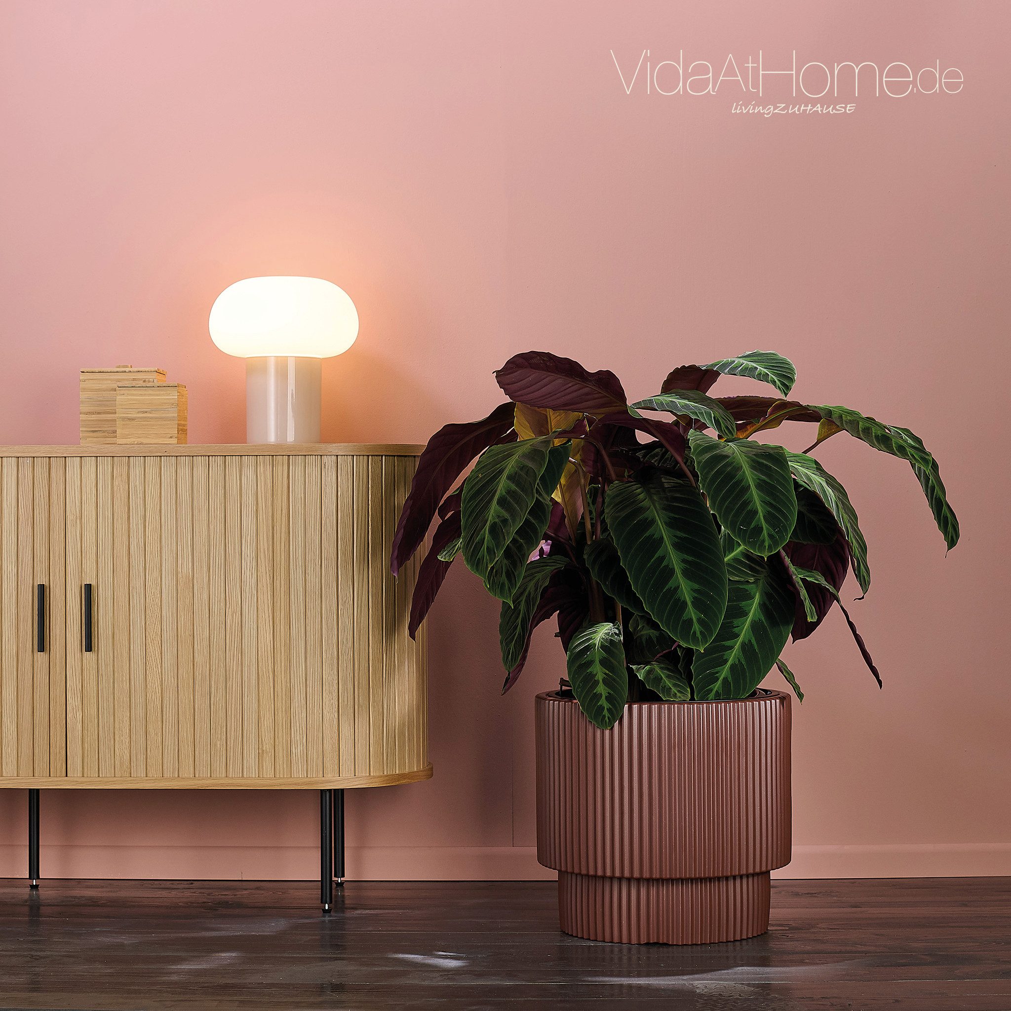 VidaAtHome.de Blumentopf Design-Pflanzgefäß IVY ø 40er, günstig online kaufen