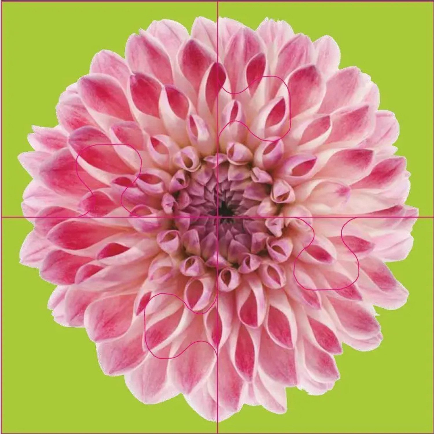 Puzzle Das "Gelingt-immer"-Puzzle Blumen. Das Puzzle-Spiel für Senioren..., günstig online kaufen