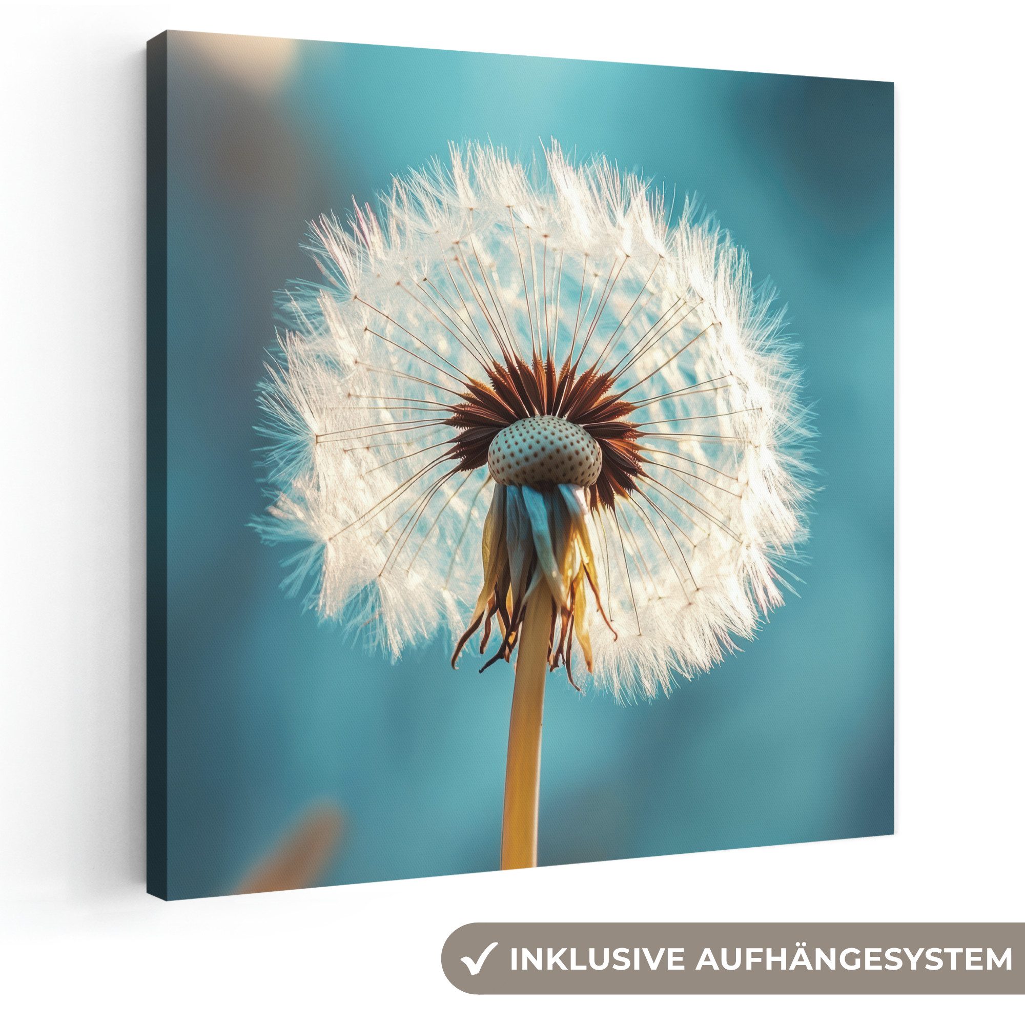 OneMillionCanvasses® Leinwandbild Löwenzahn - Natur - Blumen - Blau, Fotodruck (1 St), Wandbild, Deko Schlafzimmer Wohnzimmer Flur 20x20 cm