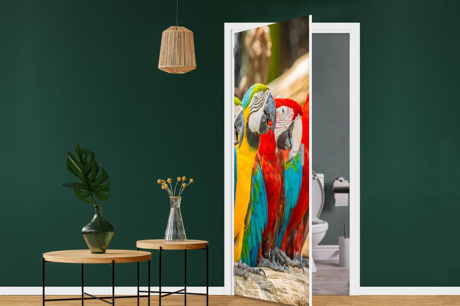 MuchoWow Vögel Türtapete Natur, Tür, (1 für - Türaufkleber, - Fototapete 75x205 - Matt, Papagei St), cm bedruckt, Tropisch