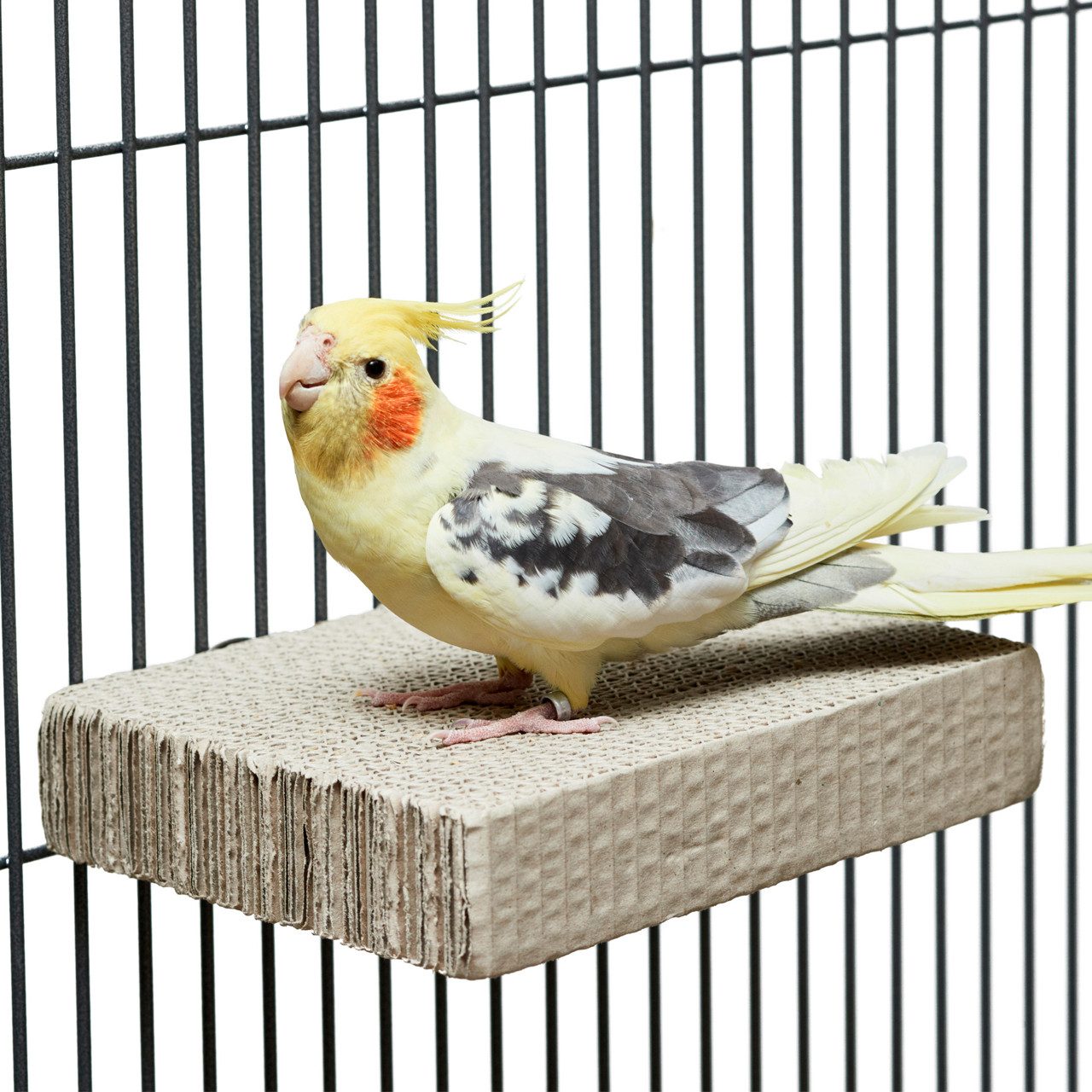 Happy Bird Vogelspielplatz Vogelsitzbrett aus Pappe, Vogel Sitzbrett zum schreddern, ca. 20 x 15 x 4cm